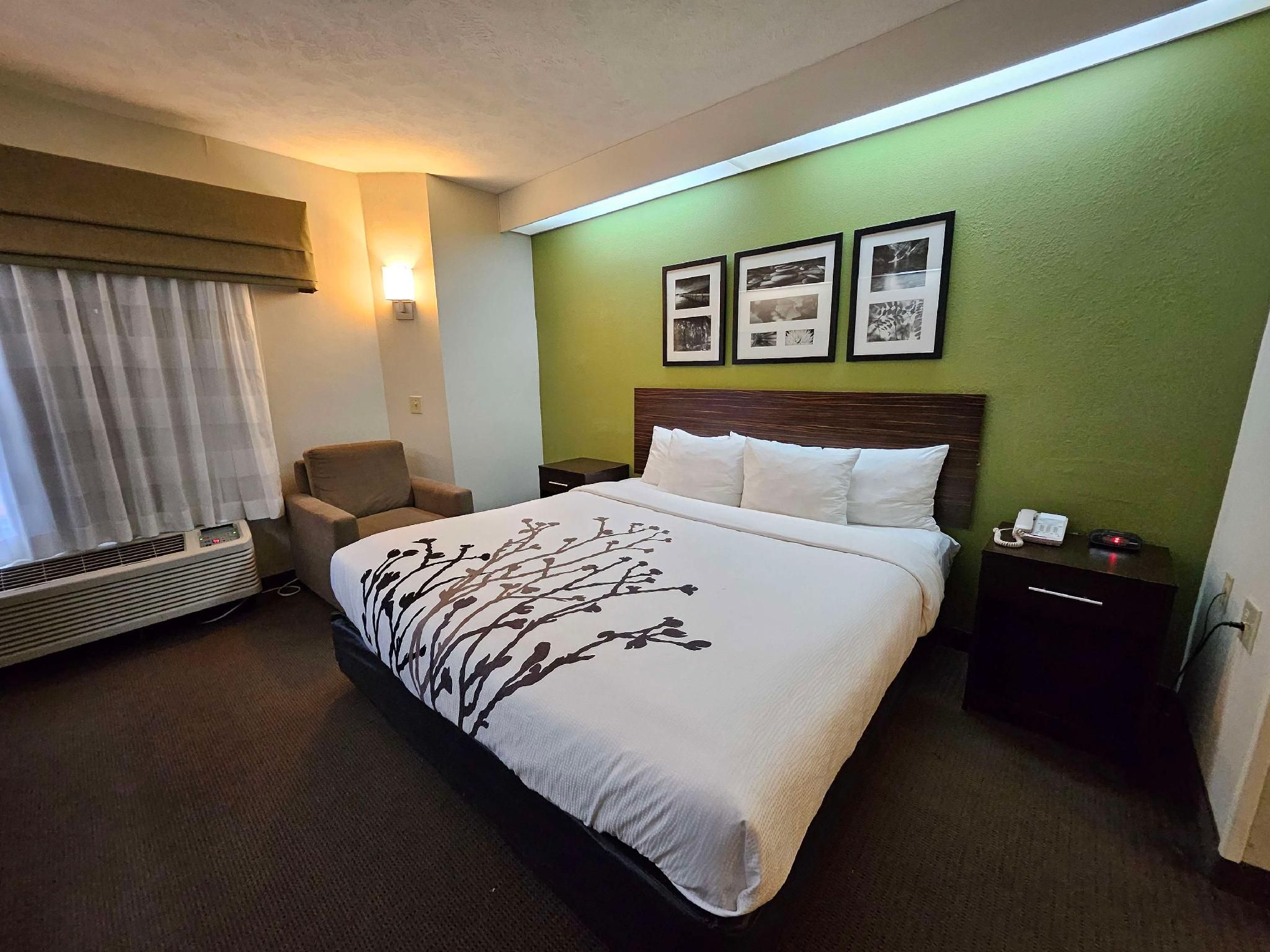 SureStay by Best Western Summerville Flowertown 1 King Bed, Nonsmoking