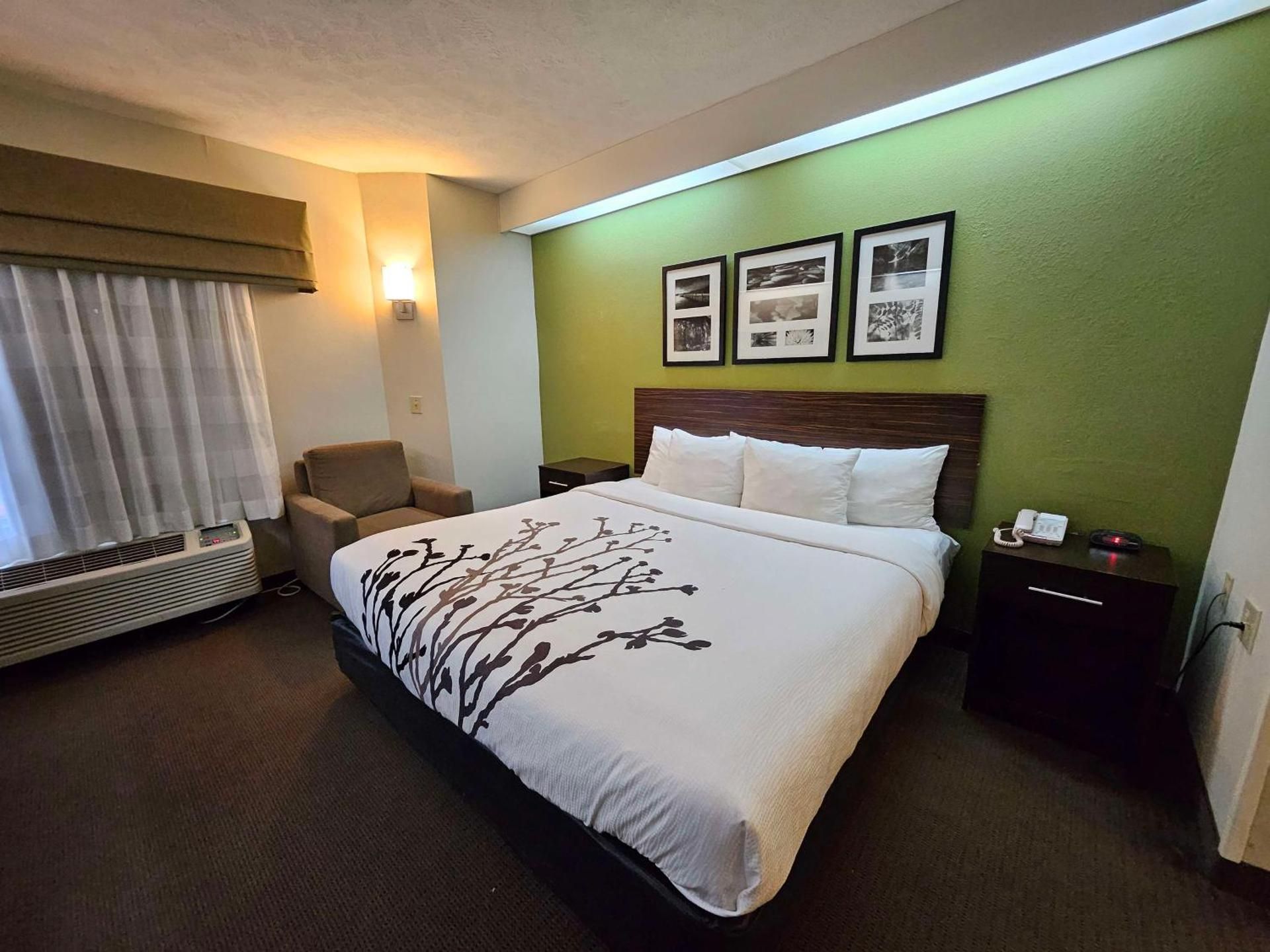 1 King Bed, Nonsmoking