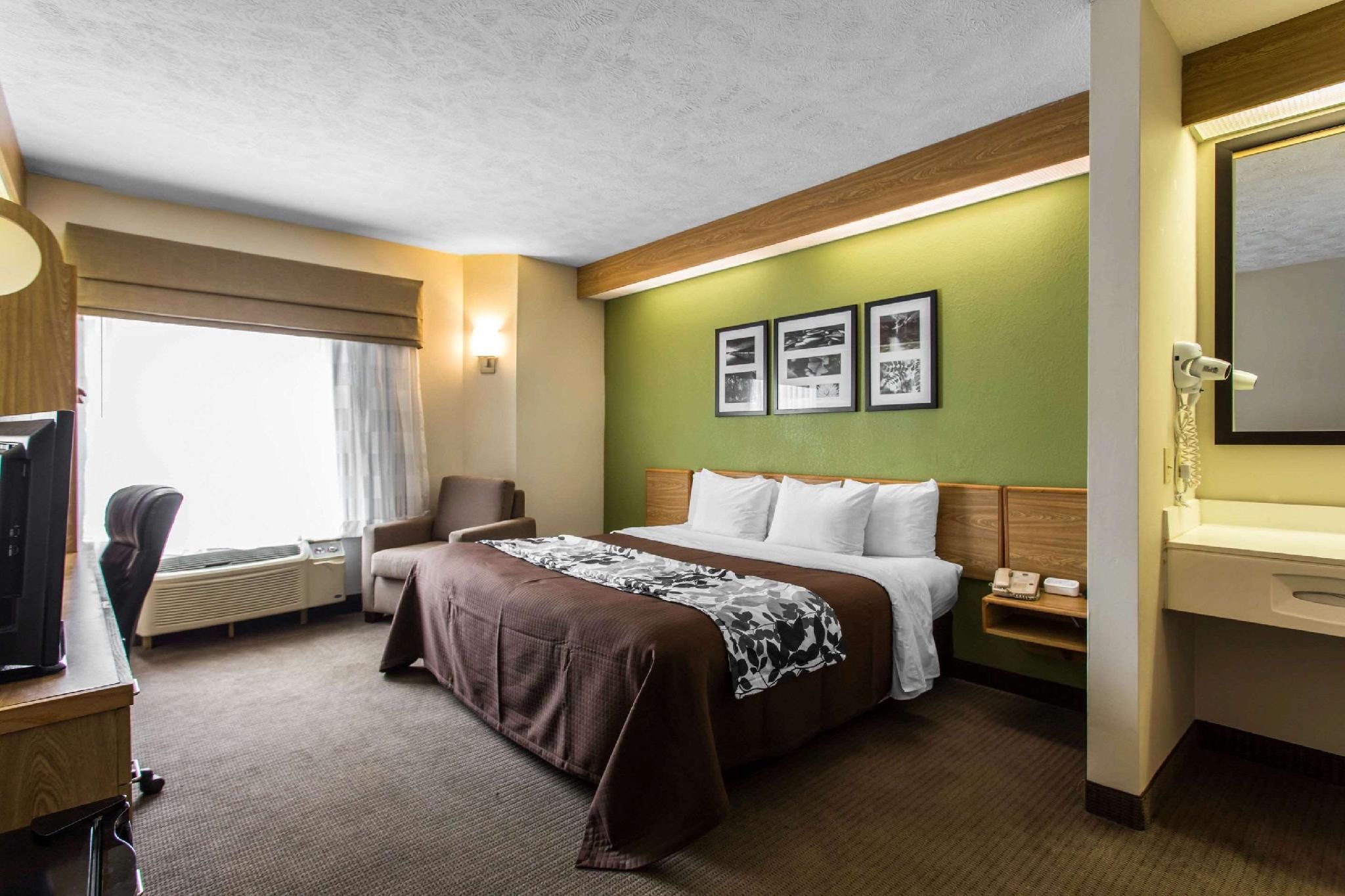 1 King Bed, Nonsmoking