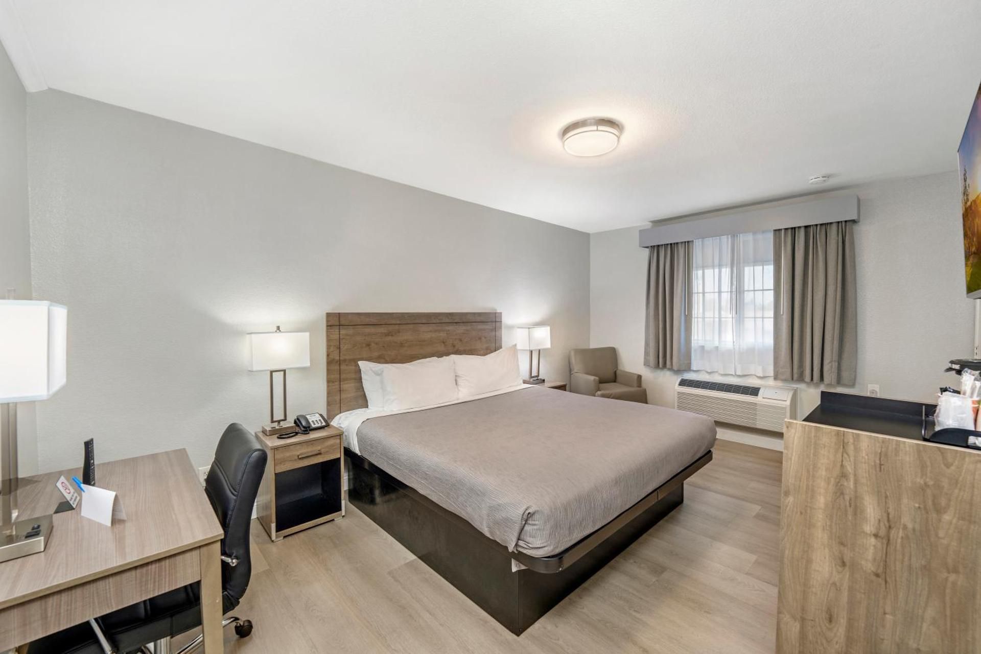 1 King Bed, Nonsmoking