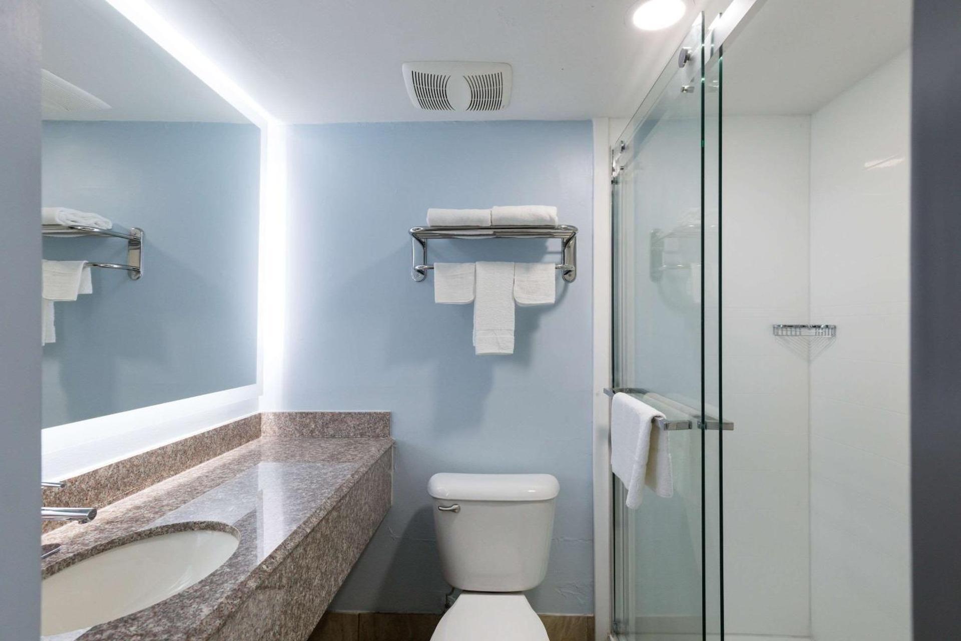 1 King Bed, Nonsmoking