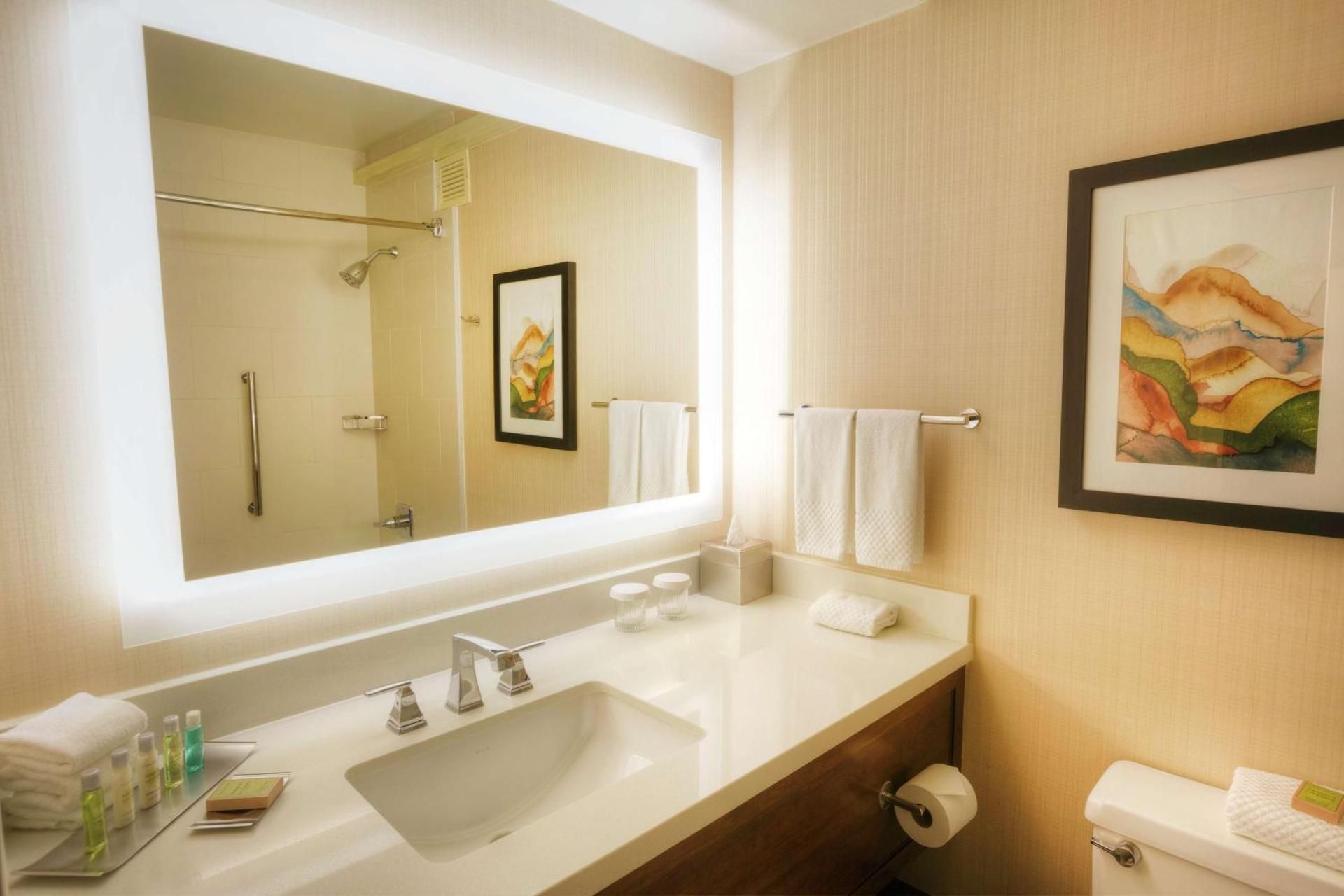 DoubleTree by Hilton Spokane-City Center 1 King Bed Hearing Accessible 3