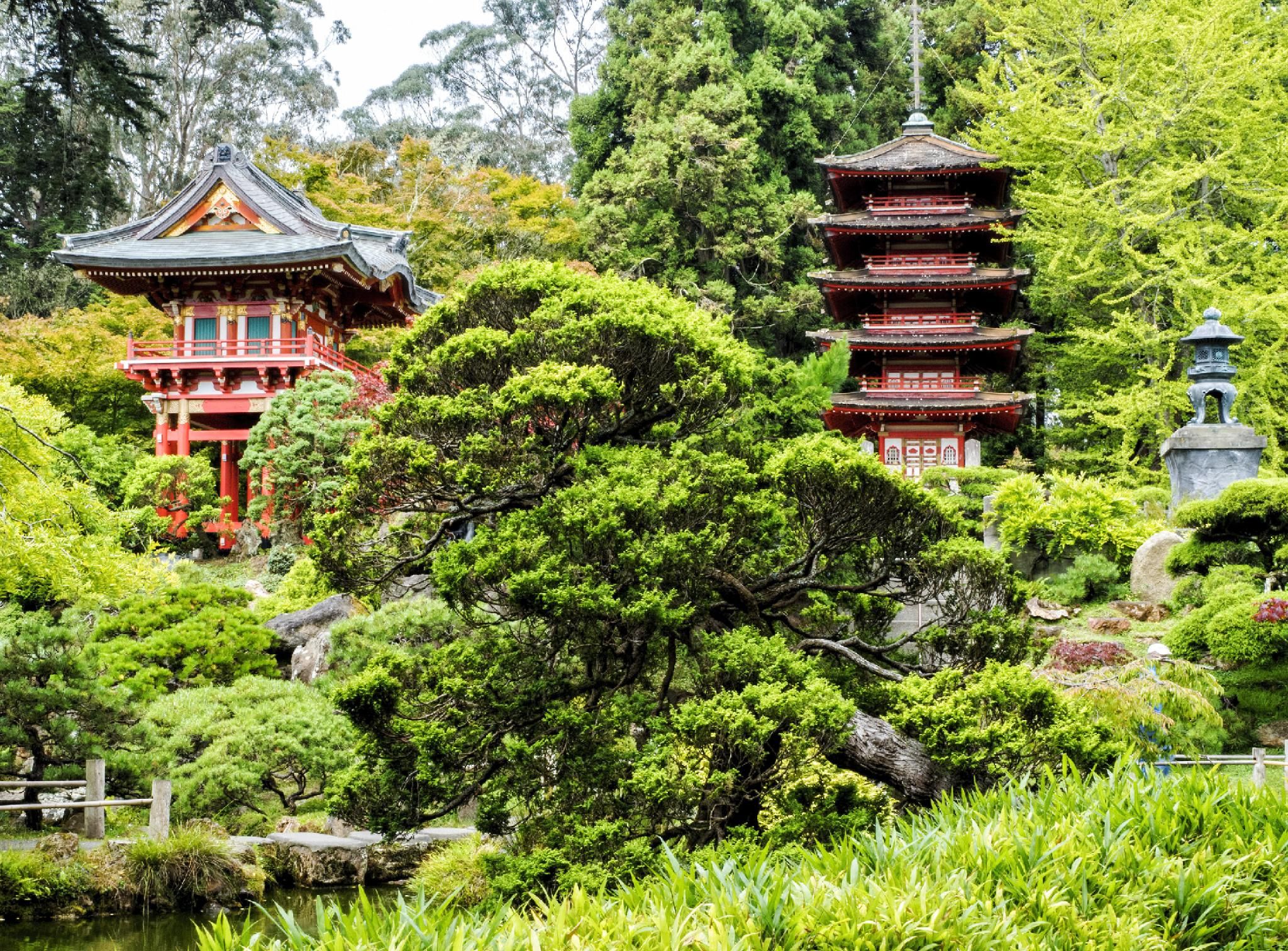 Sunset Edwardian Bed and Breakfast at Golden Gate Park