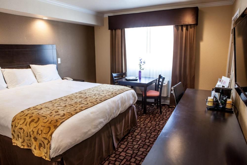 Standard King Bed
