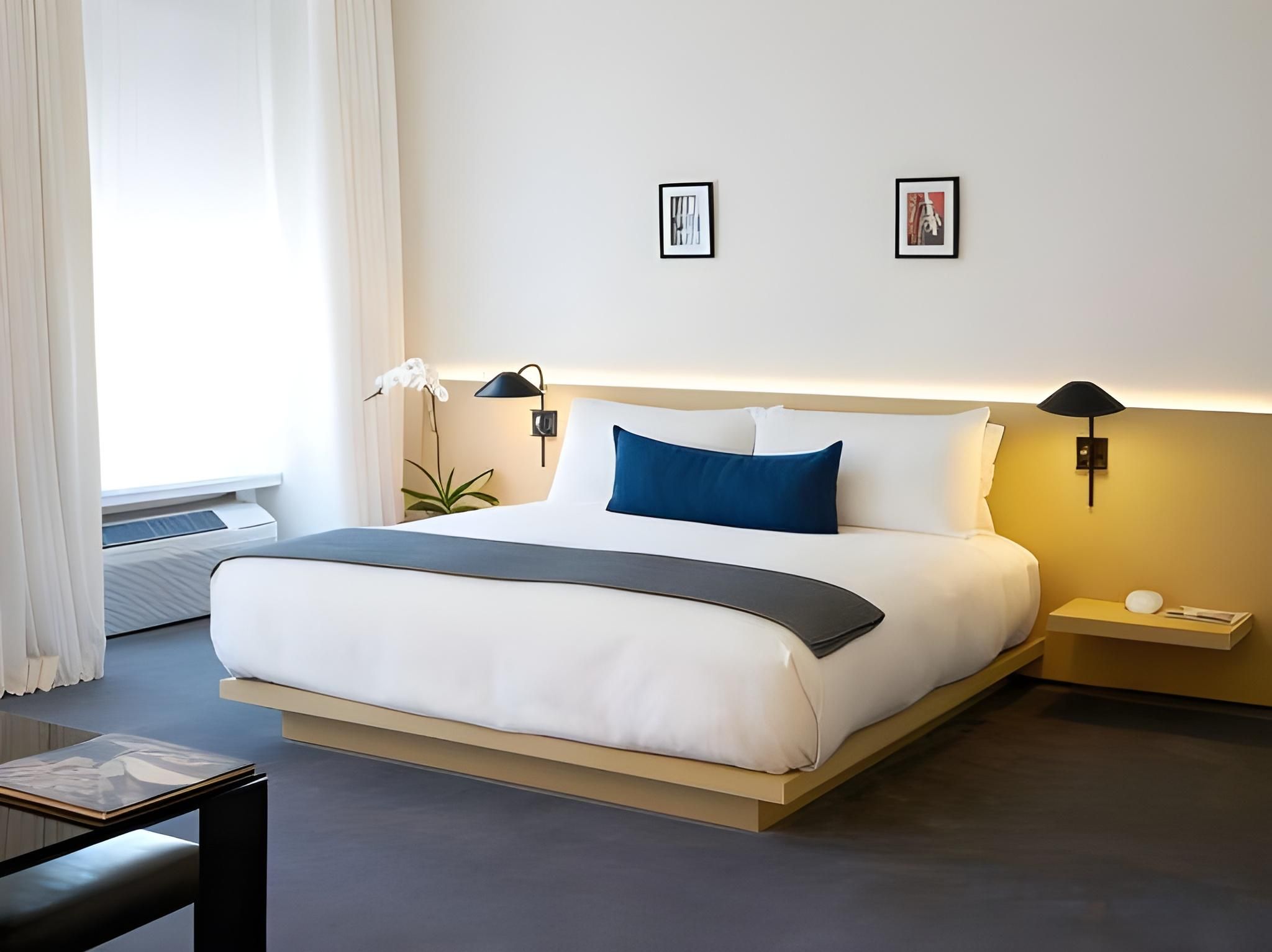 Accessible Deluxe King with Roll-In Shower