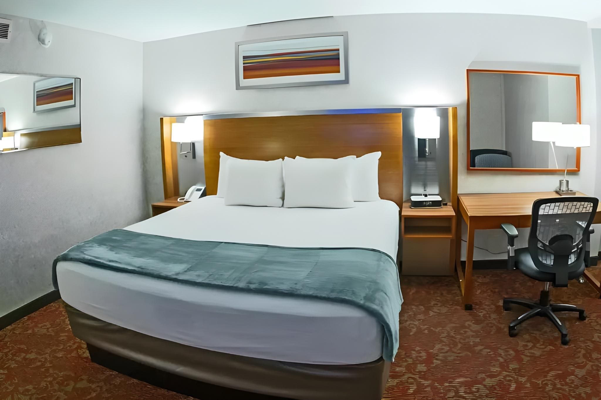 1 King Bed Non-Smoking