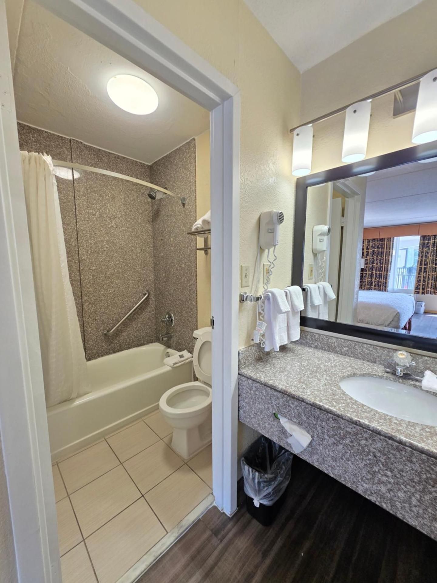 King Room with Roll-In Shower - Pet Friendly/Disability Accessible
