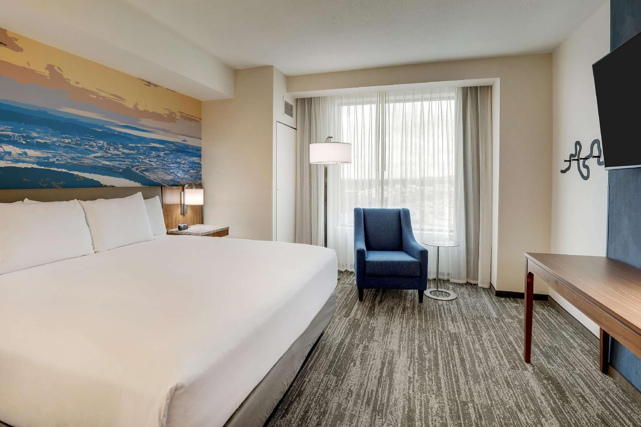King Suite with Sofa Bed