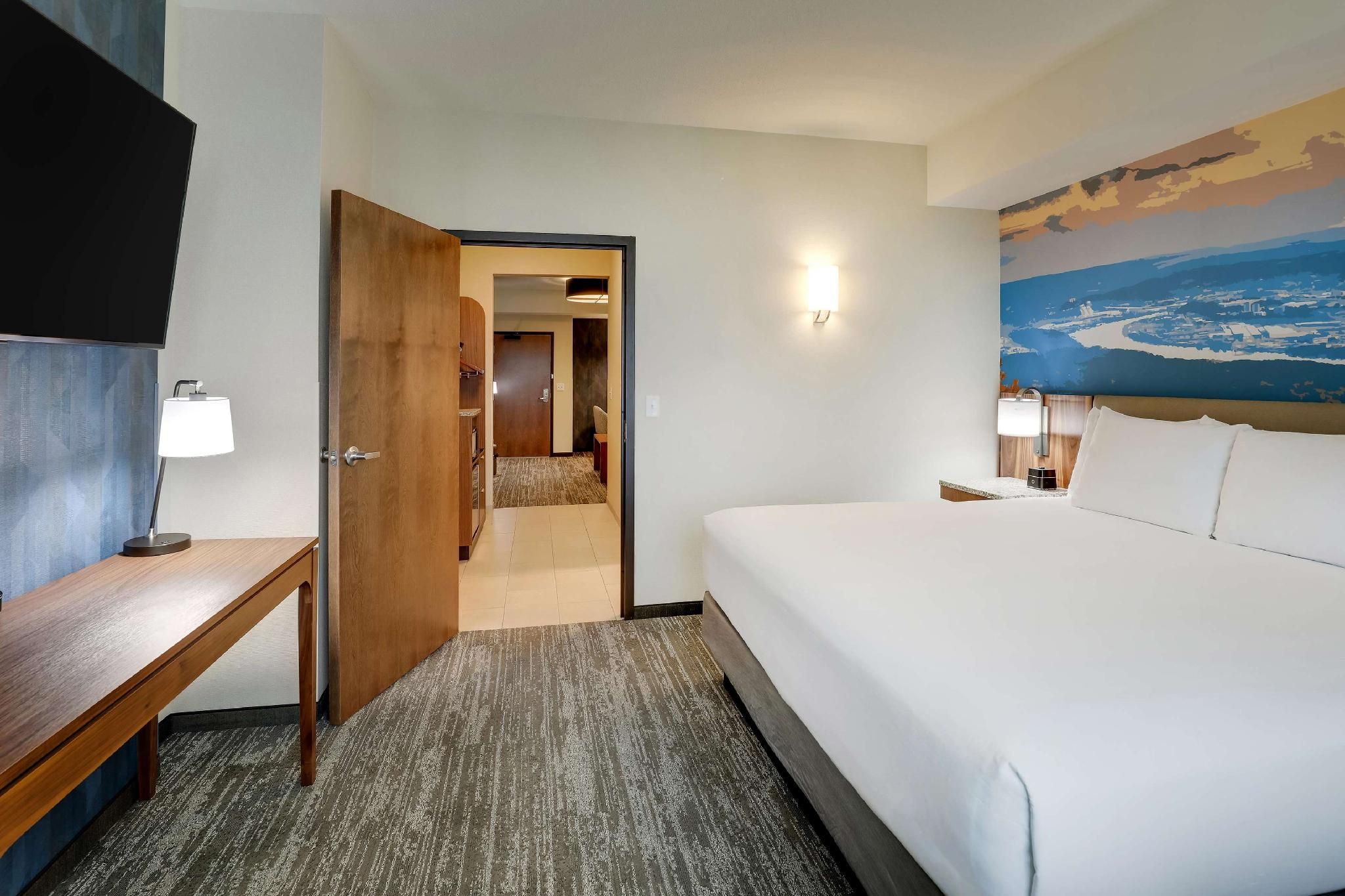 King Suite with Sofa Bed