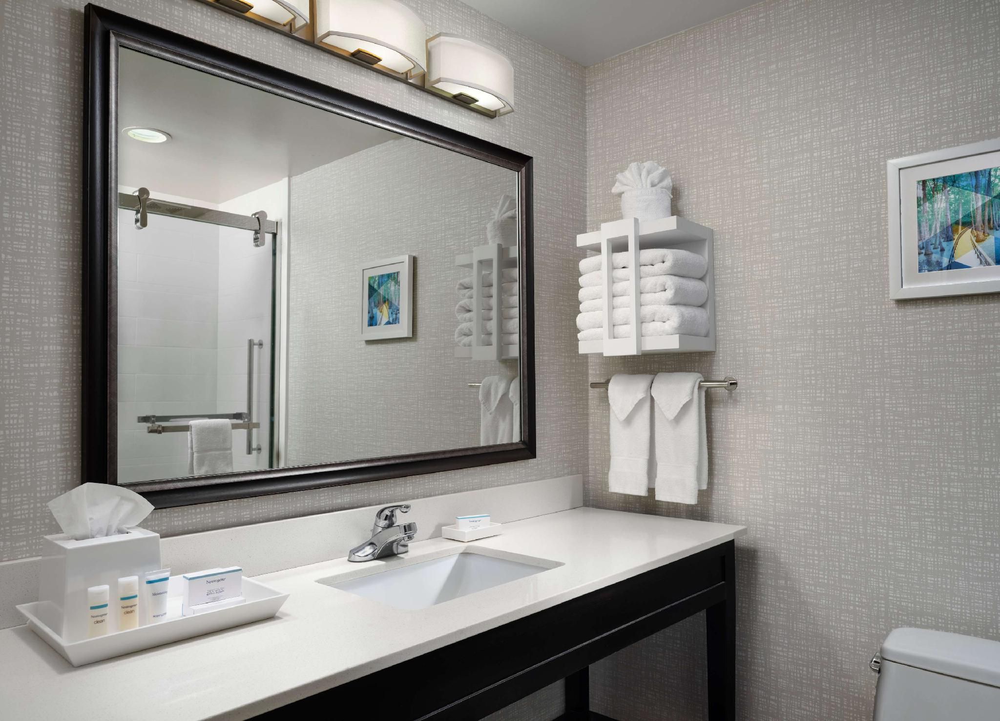 Suite - 1 King Bed, Nonsmoking, Sofabed, Walk-in Shower