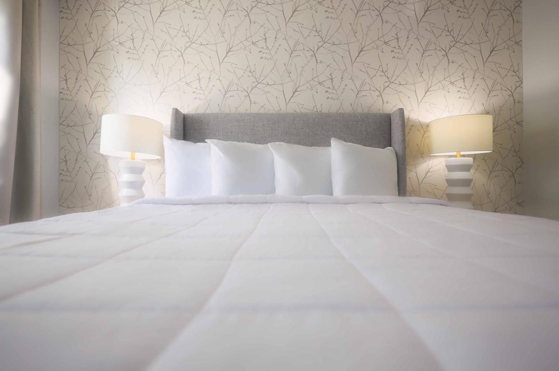 Westborough Inn Queen Room - Disability Access