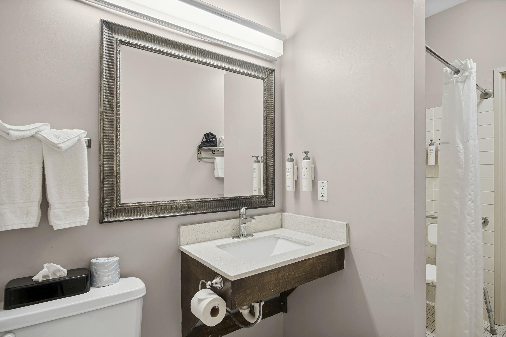 Accessible King Suite