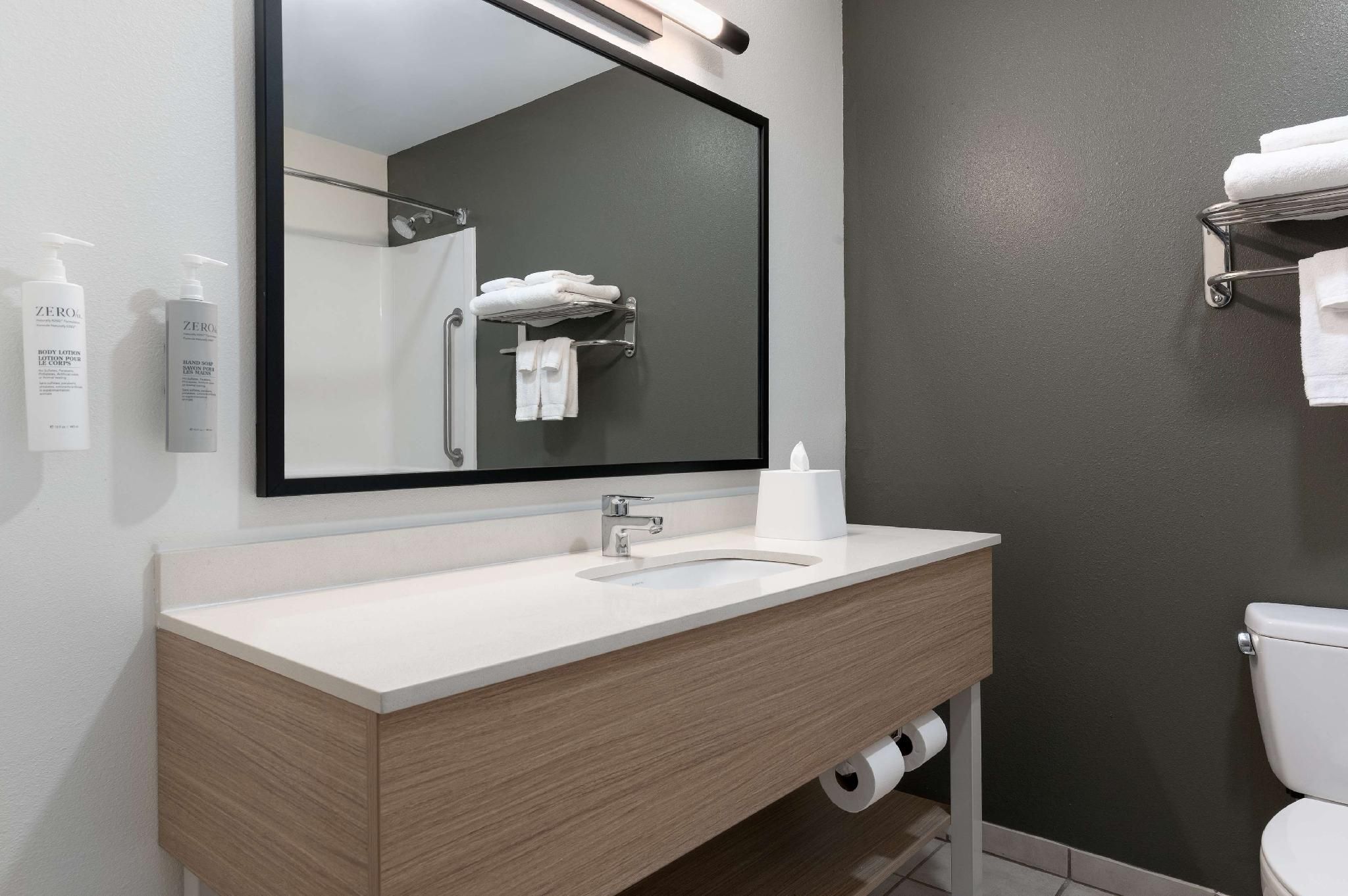 Spark by Hilton Savannah South I-95 1 King Bed  3