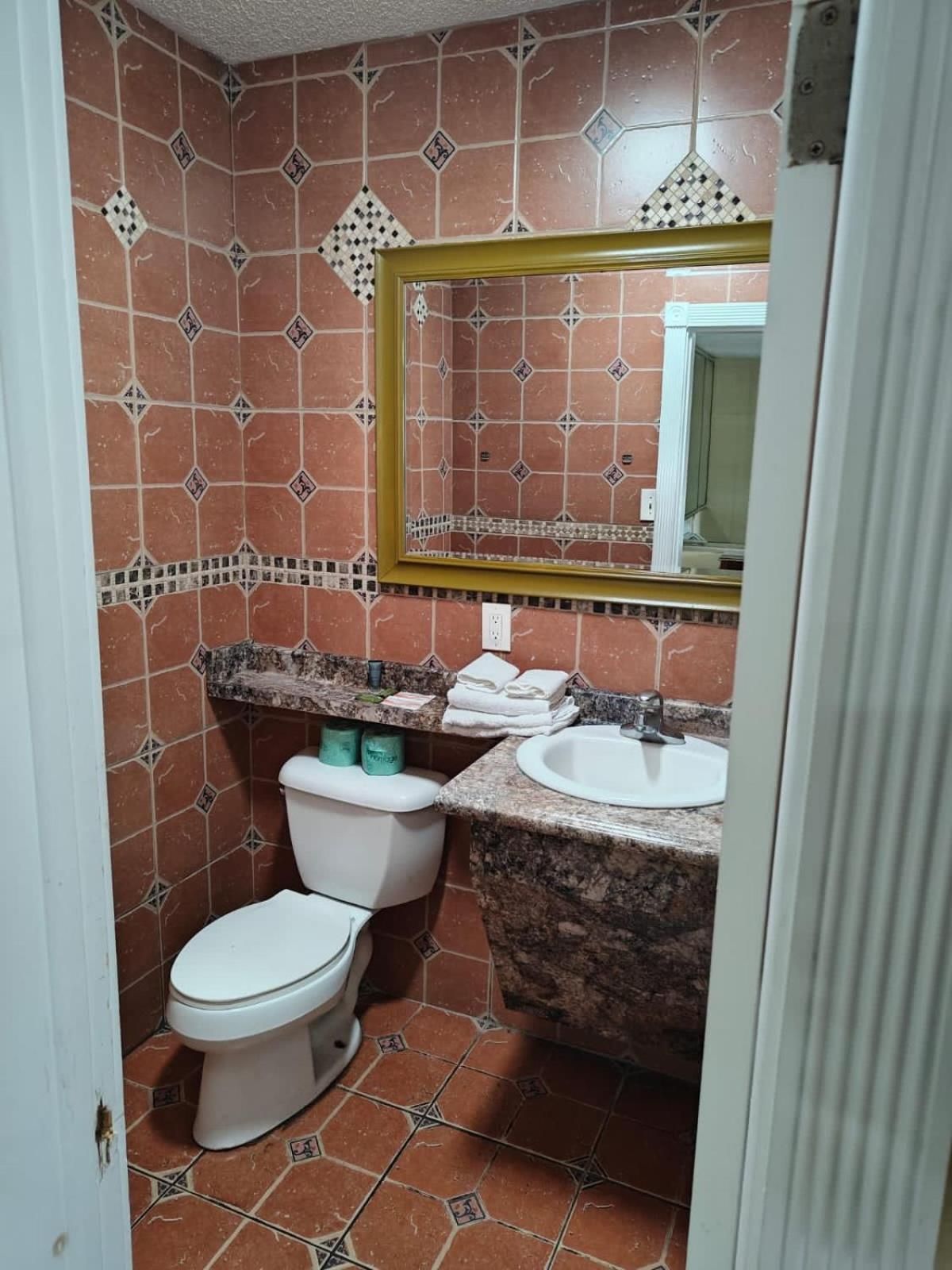 Deluxe Inn - Savannah Deluxe King Room 2