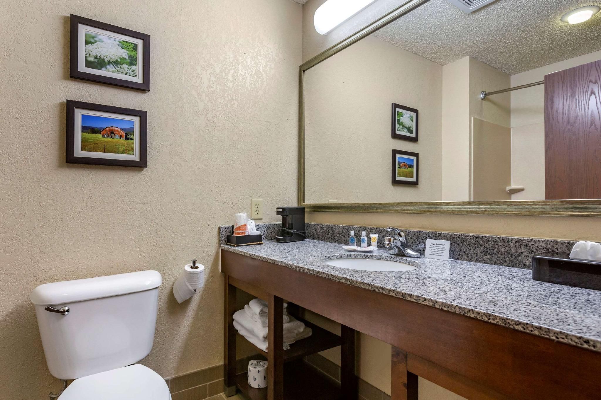 1 King Bed, Suite, Nonsmoking