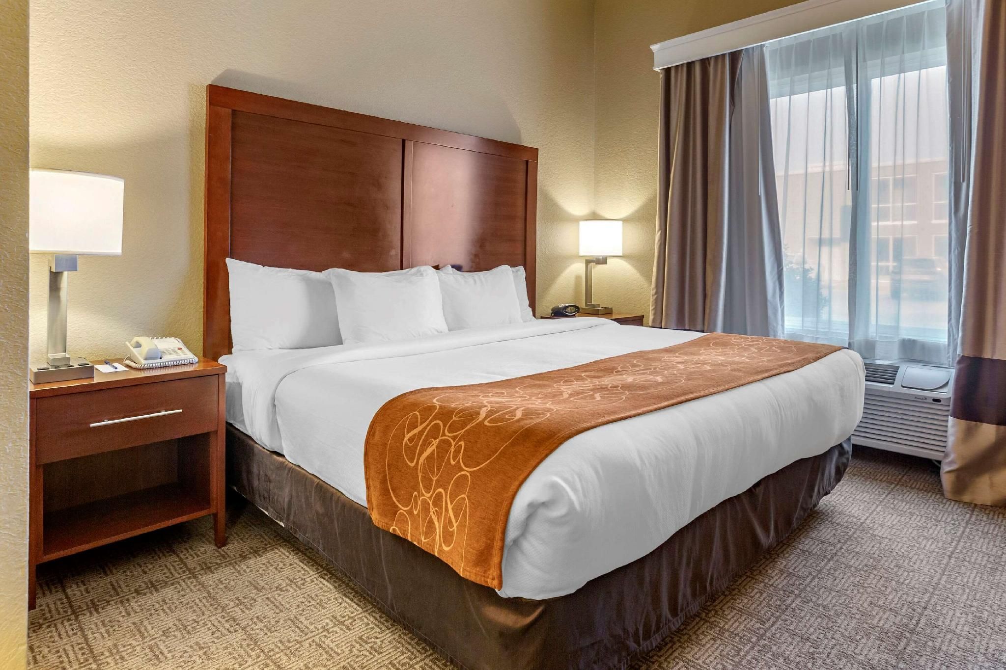 1 King Bed, Suite, Nonsmoking
