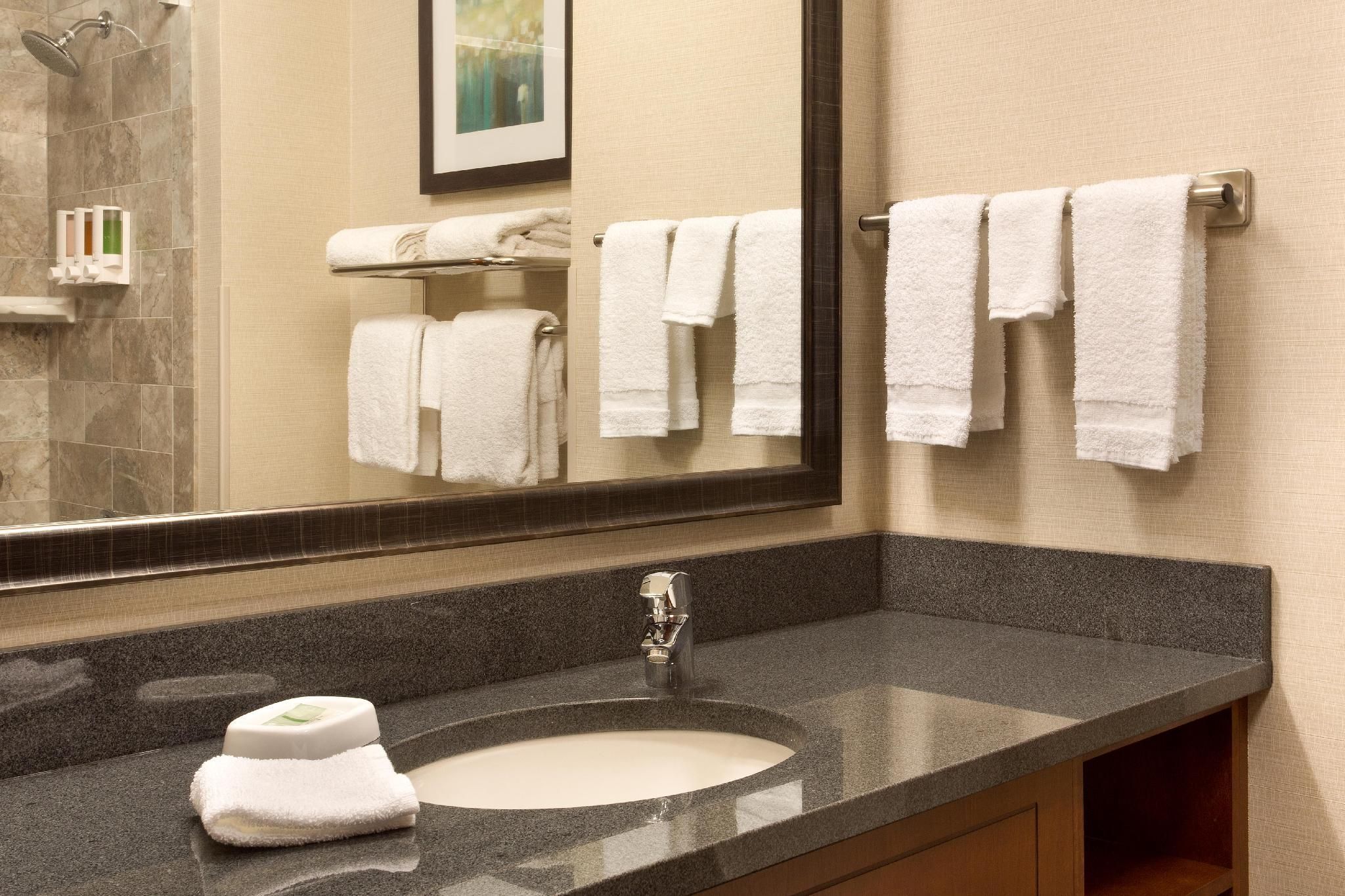 1 King Bed Hearing Accessible with Tub