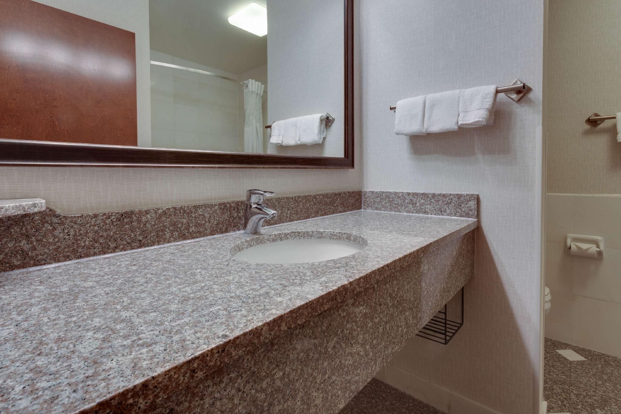 1 King Bed Suite, 2 Rooms with Sofa Sleeper, Accessible with Tub