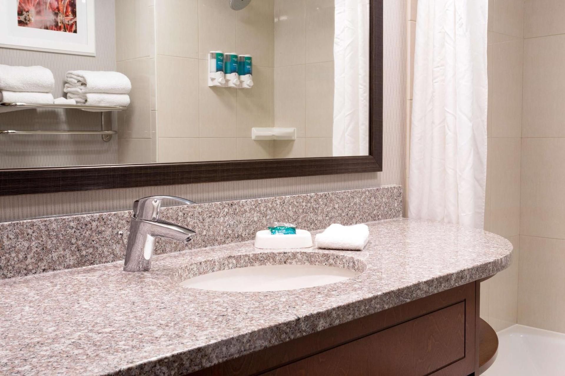Deluxe King Room - Accessible, Roll-in Shower