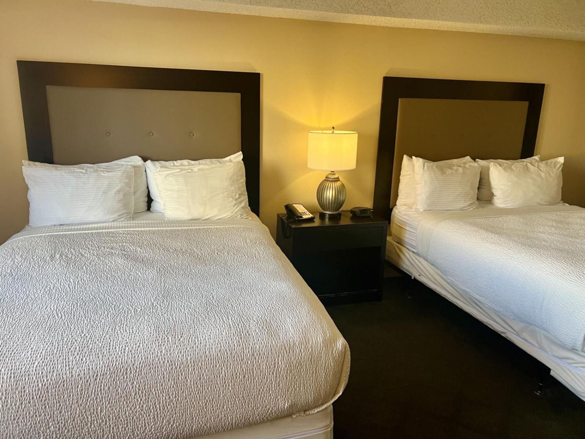 Deluxe One-Bedroom Suite (No Resort Fee) 