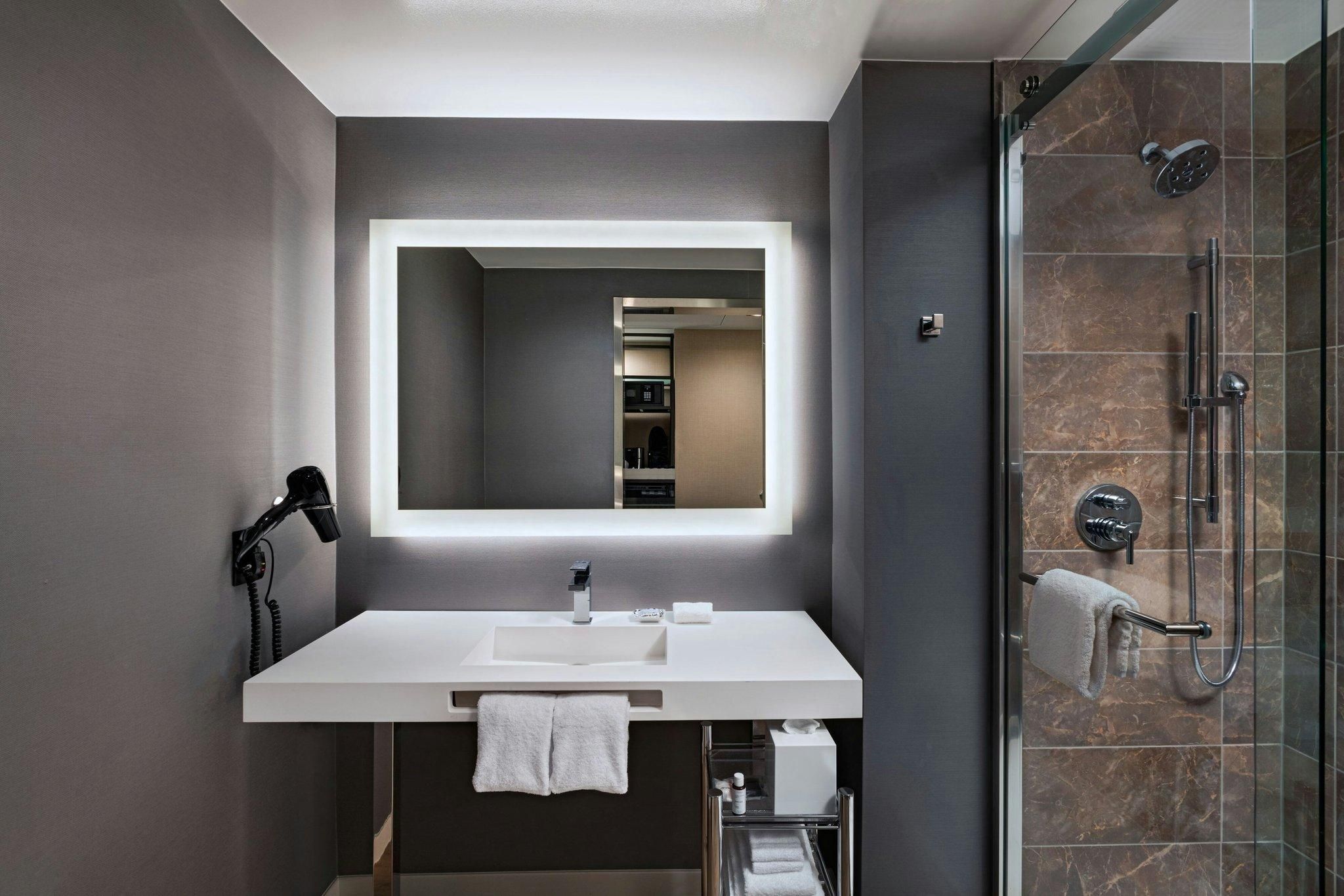 Metro King, Guest room, 1 King