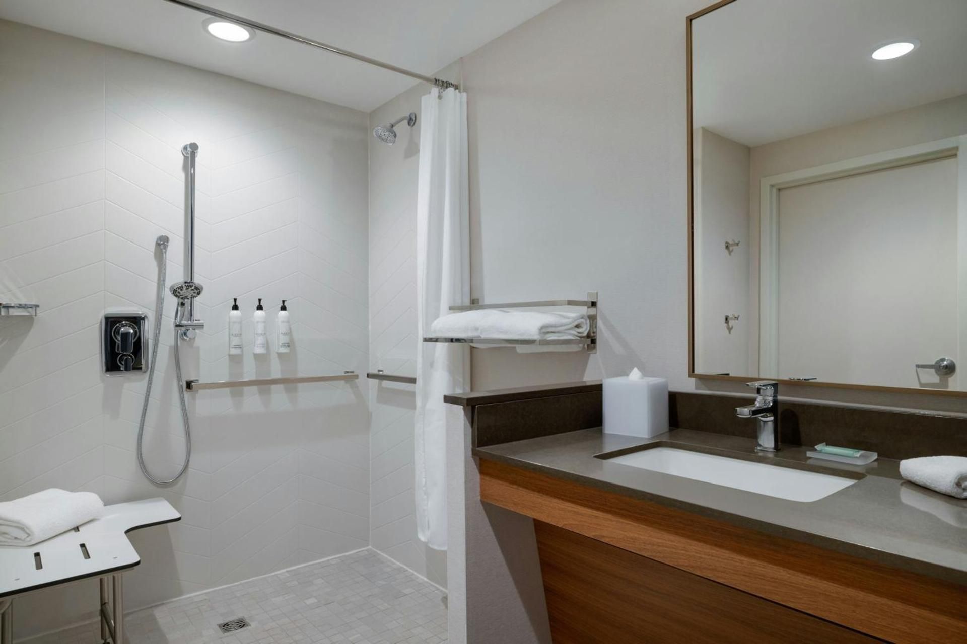Standard King Room with Roll-in Shower - Mobility Accessible