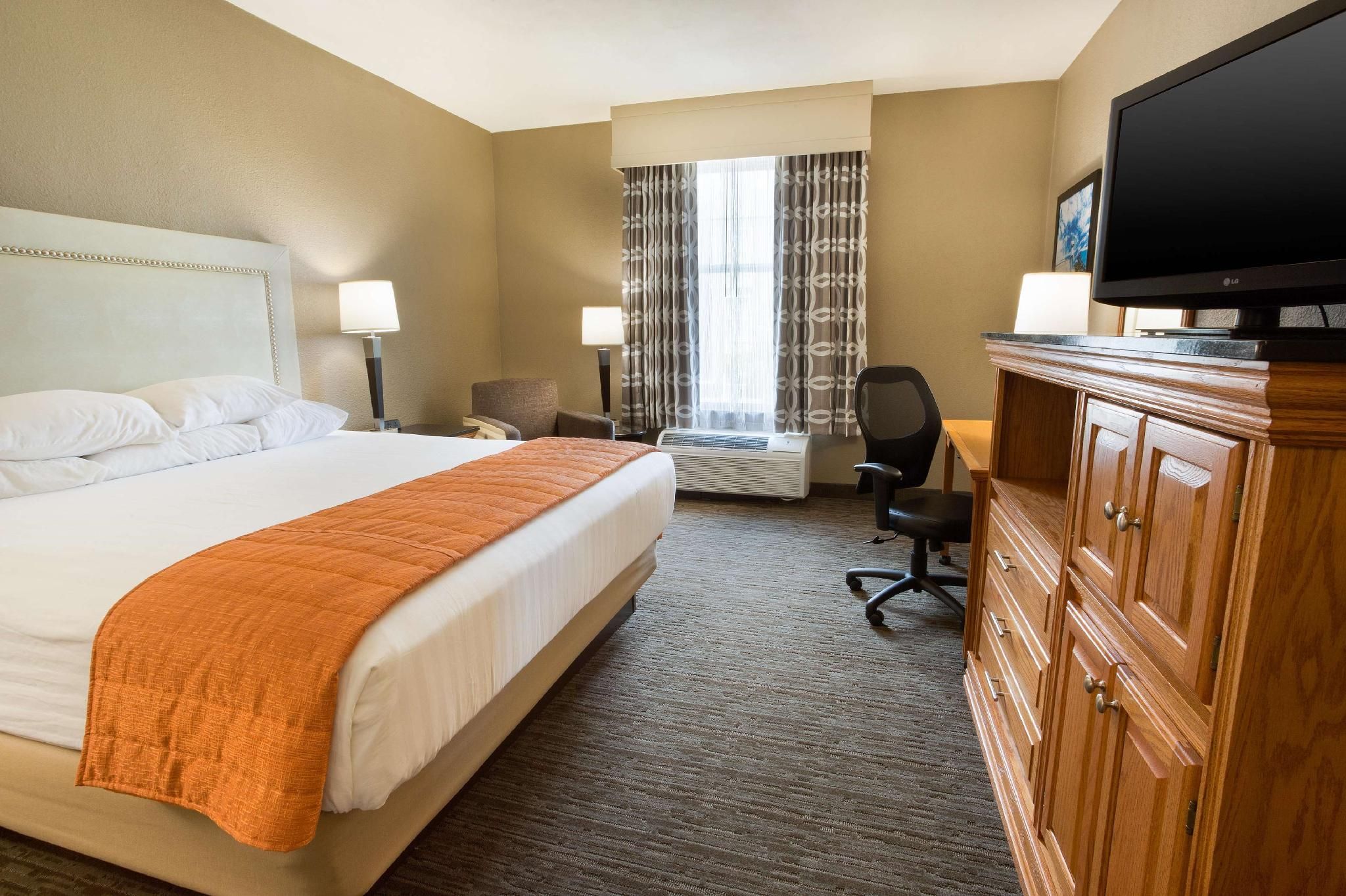 1 King Bed
