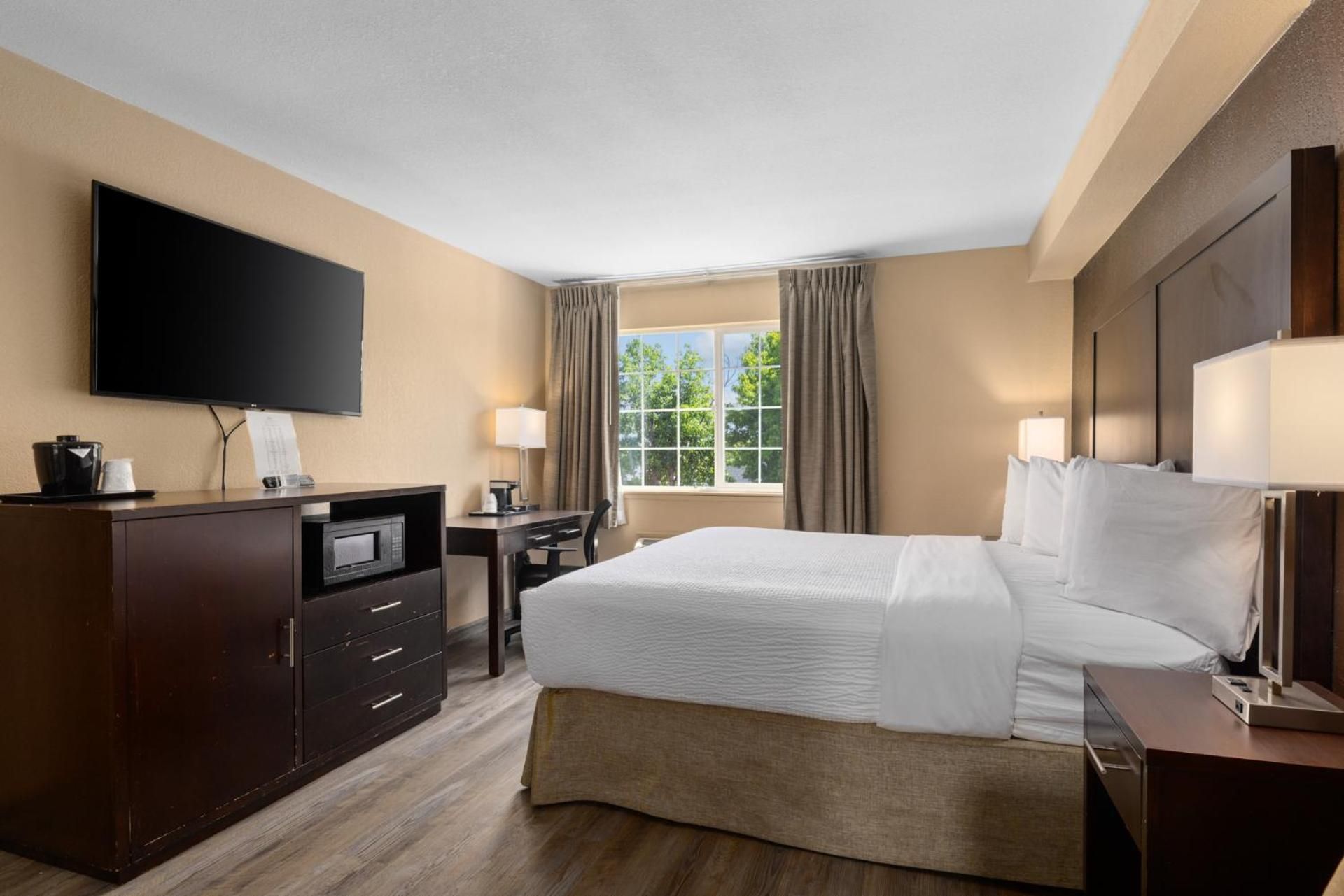 1 King Bed, Non-Smoking
