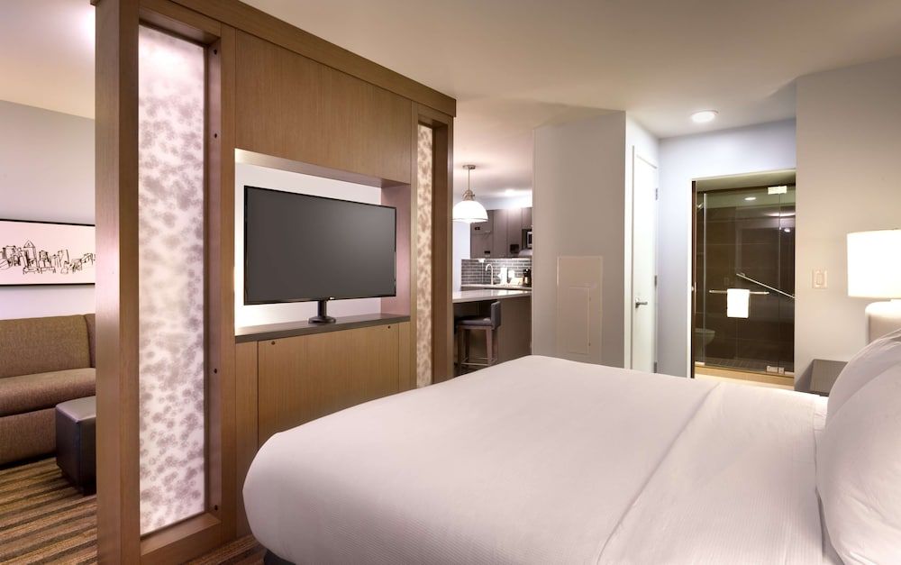 Studio Suite, 1 King Bed with Sofa bed, Accessible (Shower)