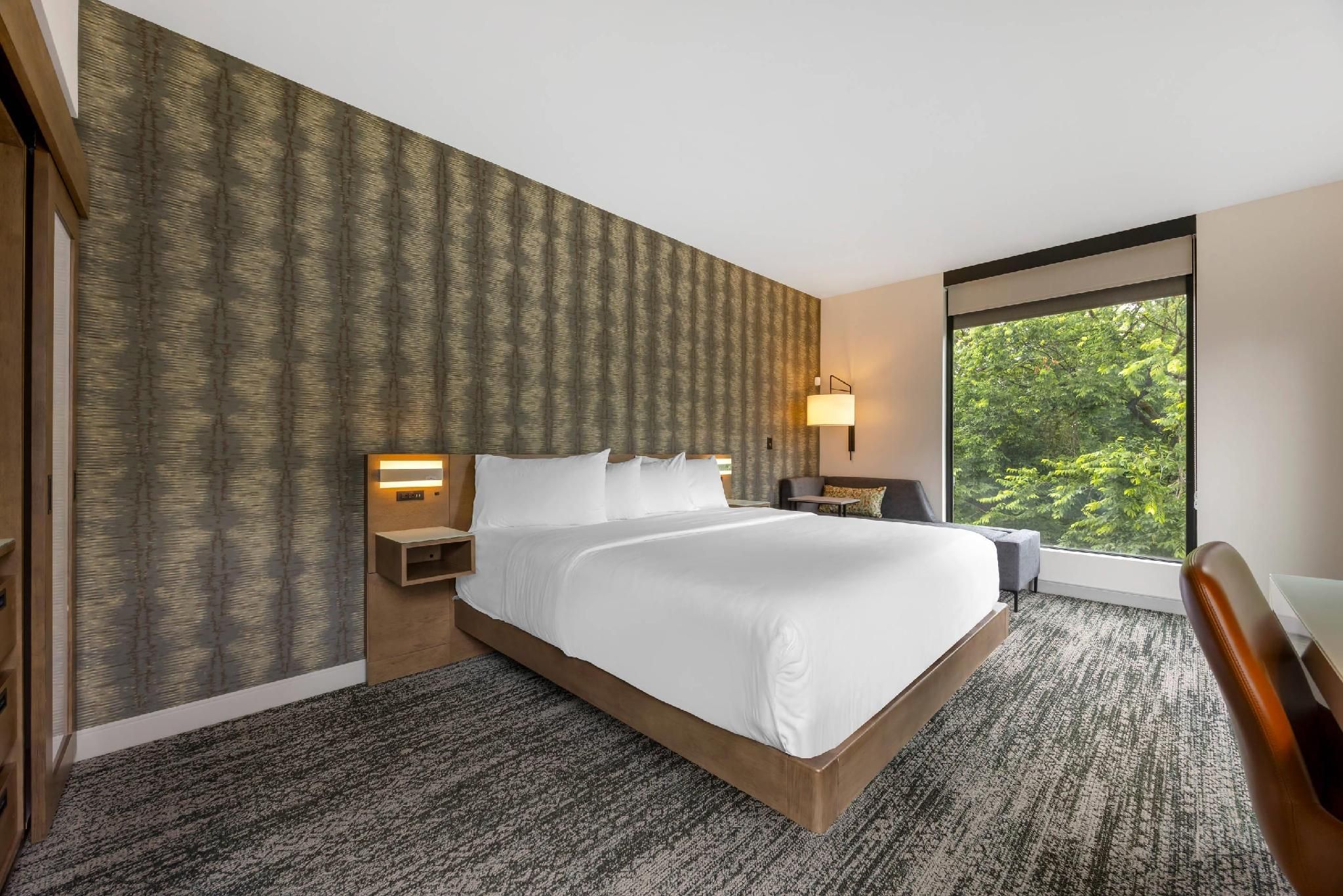 1 King Bed, Suite, Nonsmoking, Accessible
