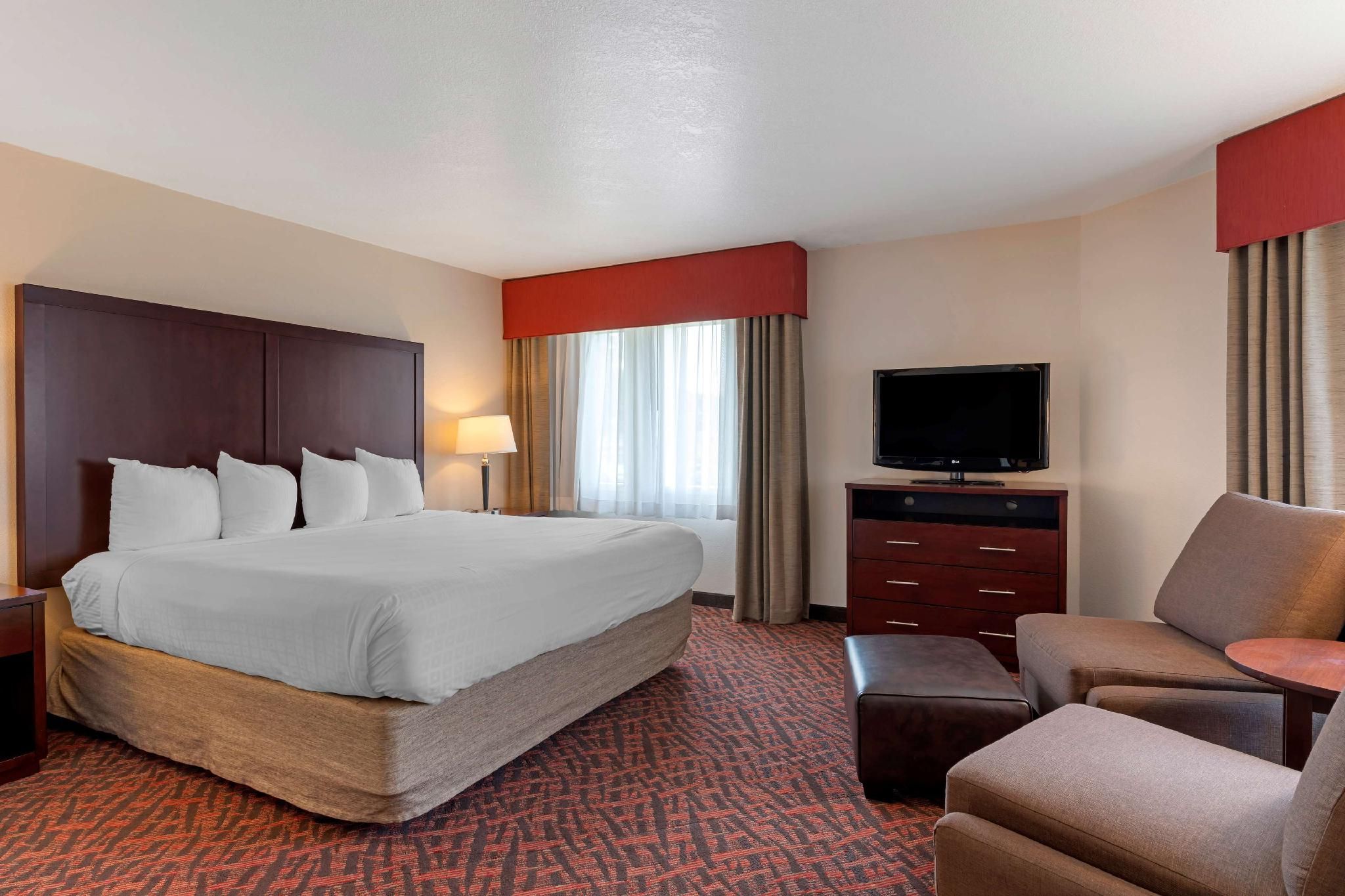 1 King Bed, NonSmoking, Pet Friendly Room