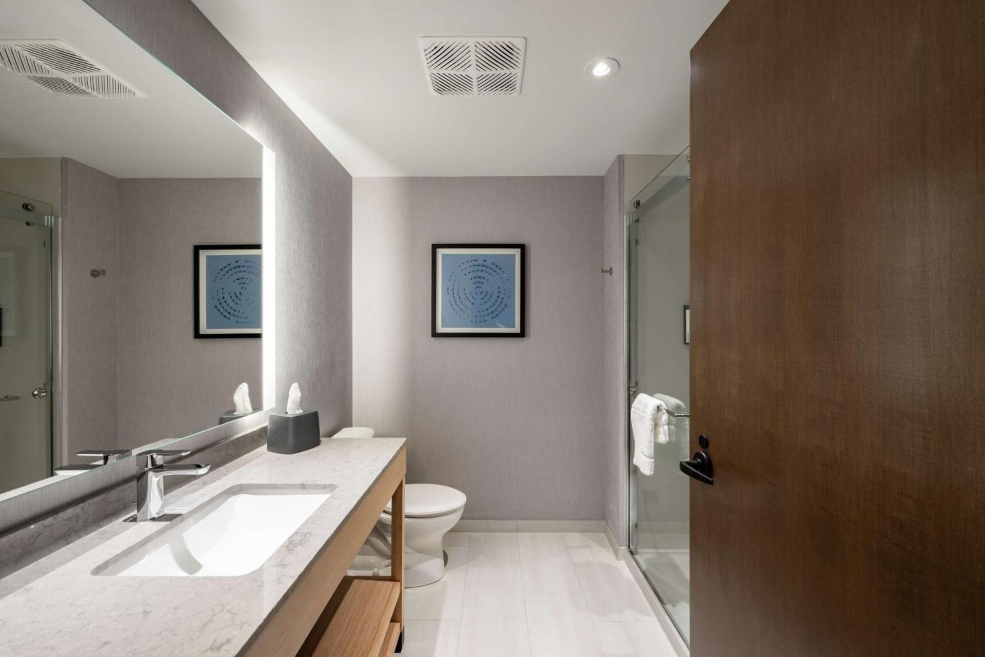 Specialty King Room with Sofa Bed
