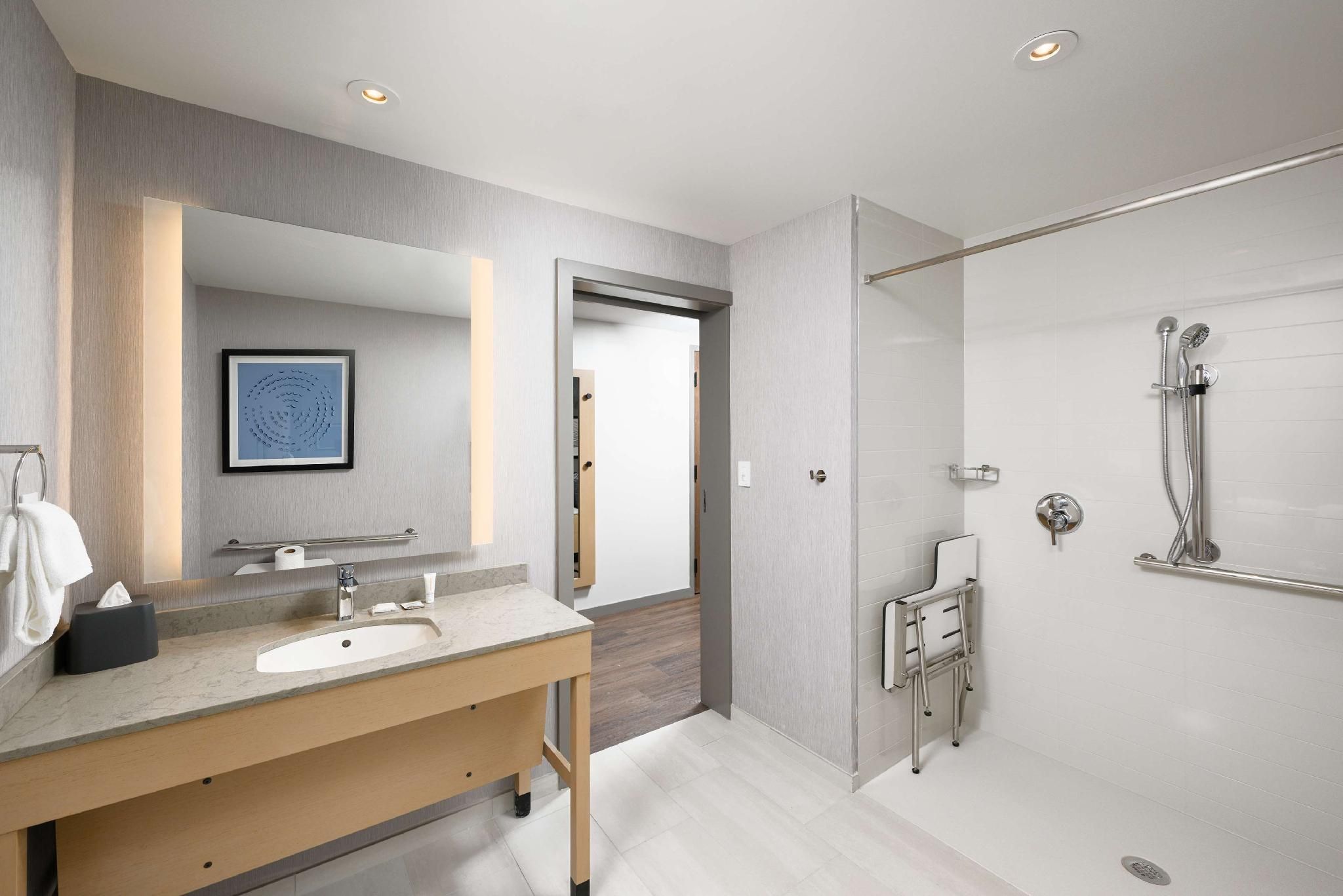 Accessible Suite King Bedrollin Shower (Plus Sofa Bed)