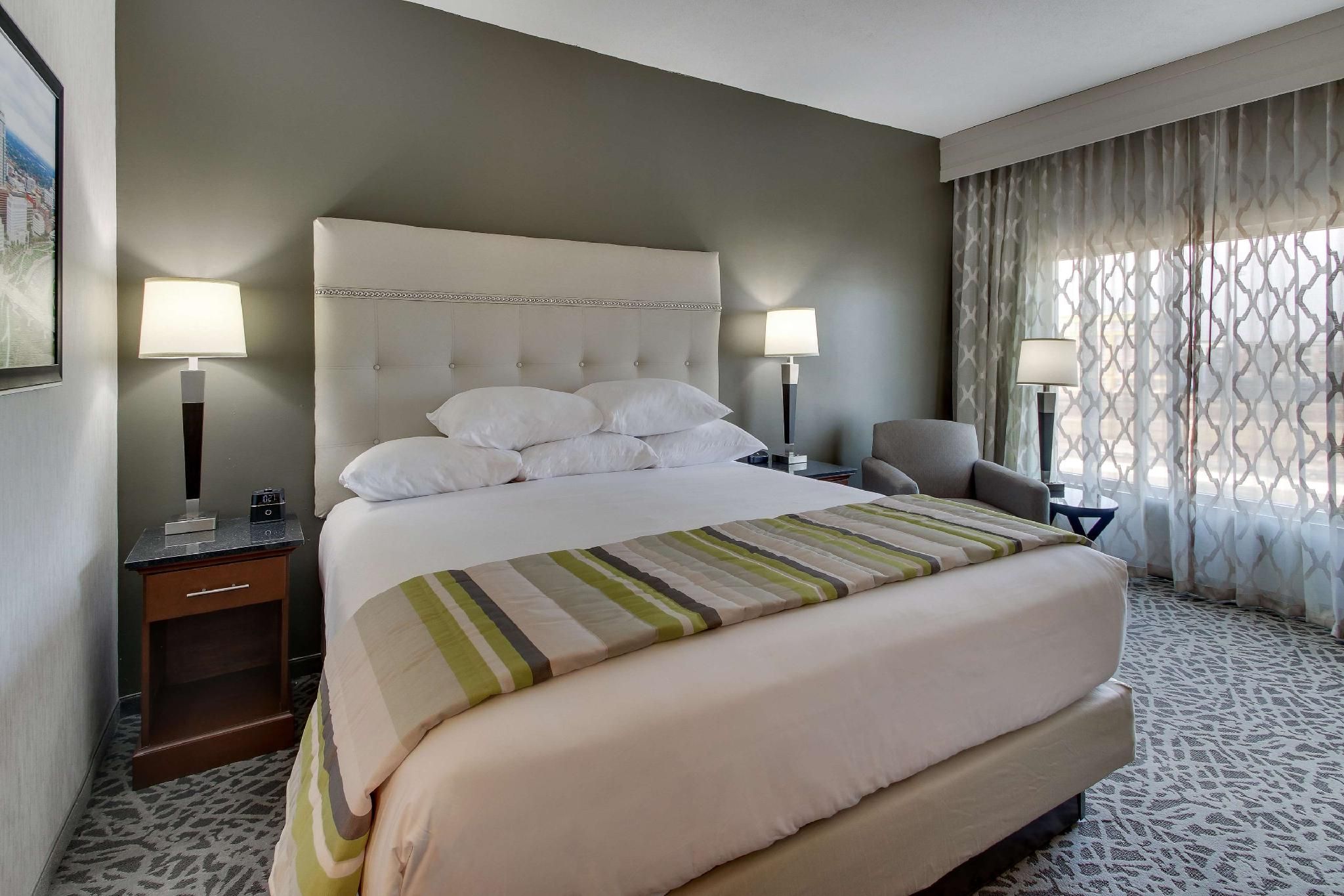 1 King Bed