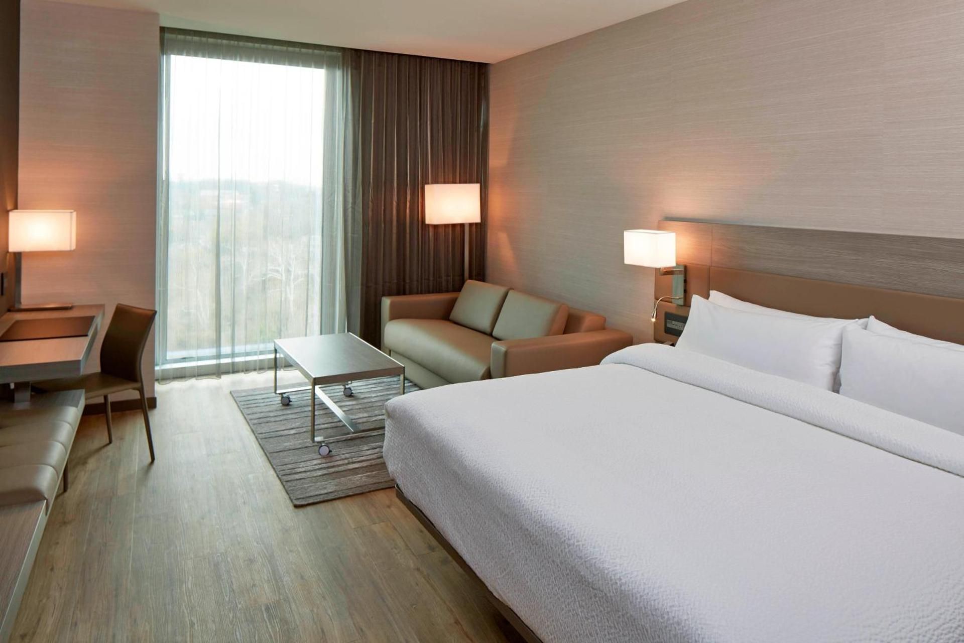 Standard King Room with Sofa Bed and Roll-In Shower - Mobility Accessible