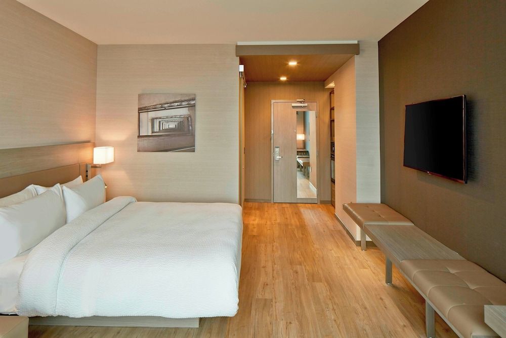 Room, 1 King Bed with Sofa bed, River View (Hearing Accessible)