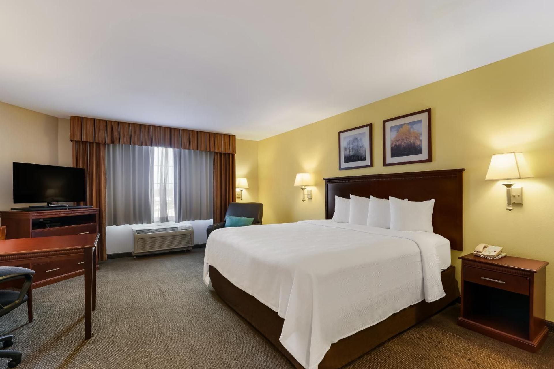 Efficiency One Room Suite with Roll-In Shower - Disability Access/Non Smoking