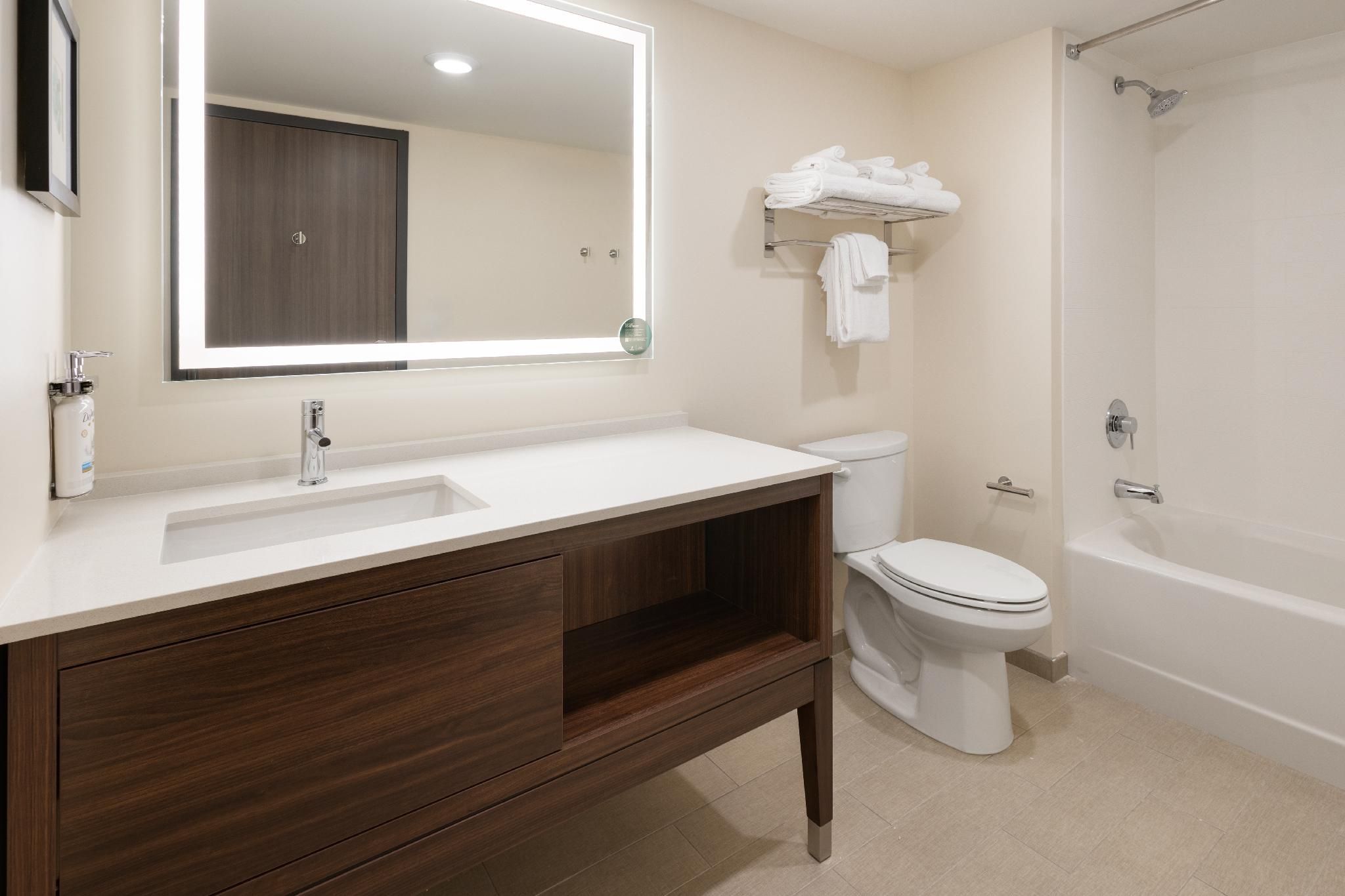 2 Queens One Bedroom Suite Communications Accessible Tub