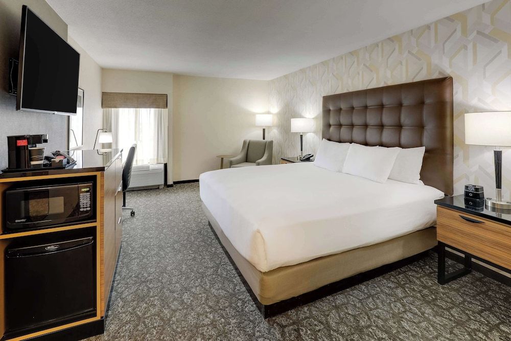 Room, 1 King Bed