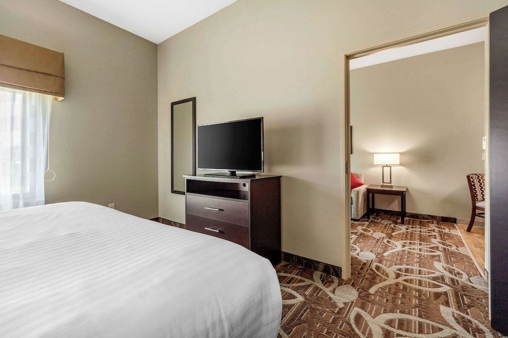 Suite, 1 King Bed with Sofa bed, Accessible, Non Smoking