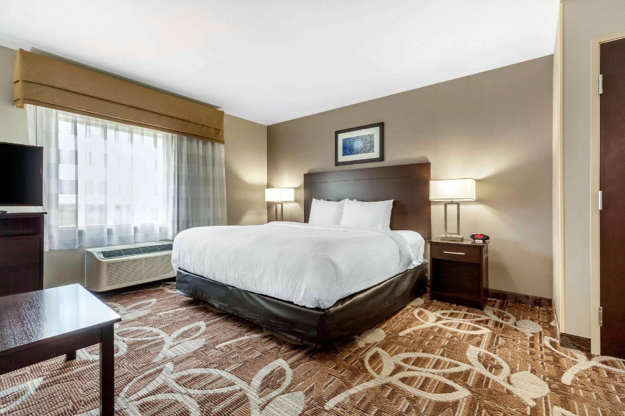 1 King Bed, Suite, Nonsmoking