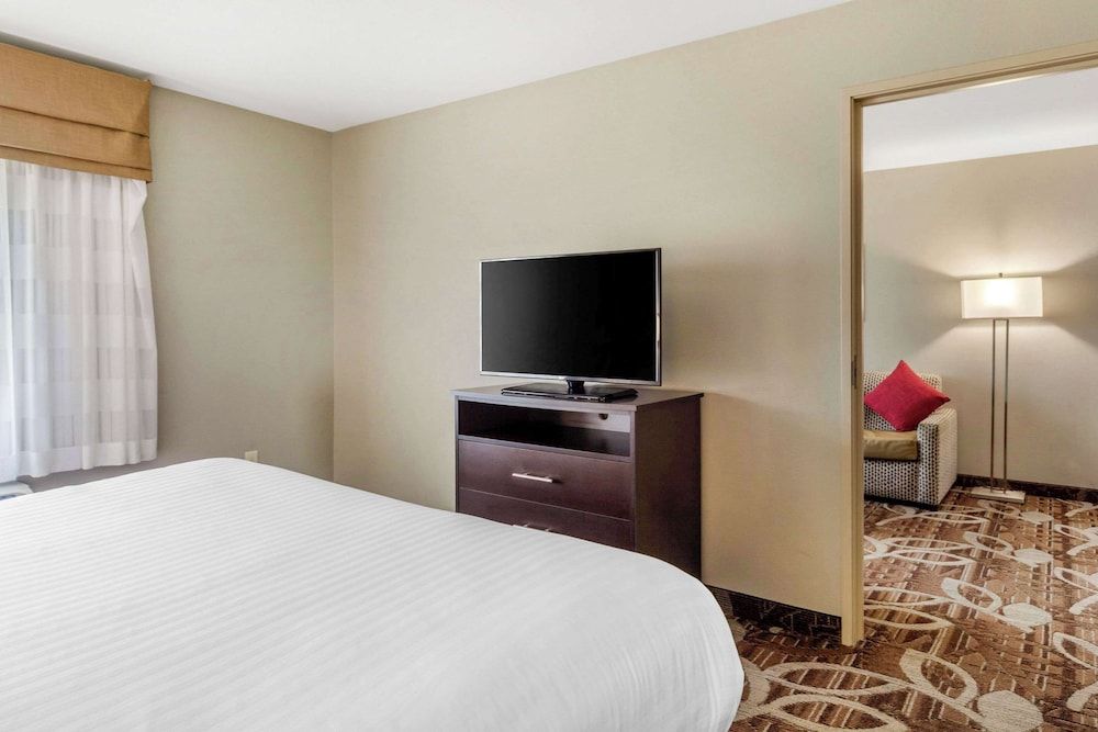 Suite, 1 King Bed with Sofa bed, Non Smoking