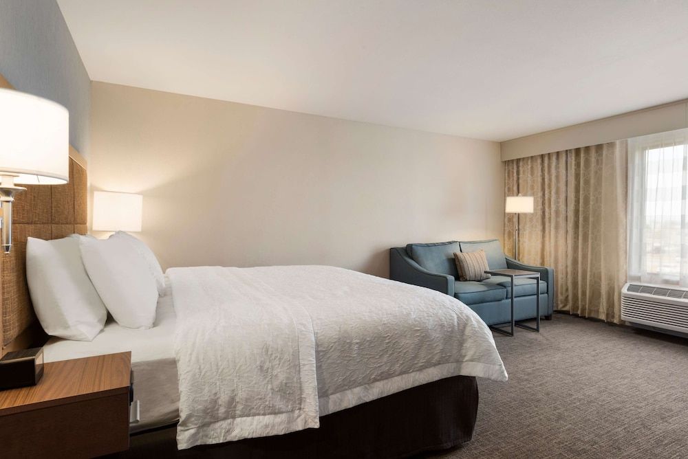 Room, 1 King Bed, Accessible (Walk-In Shower)