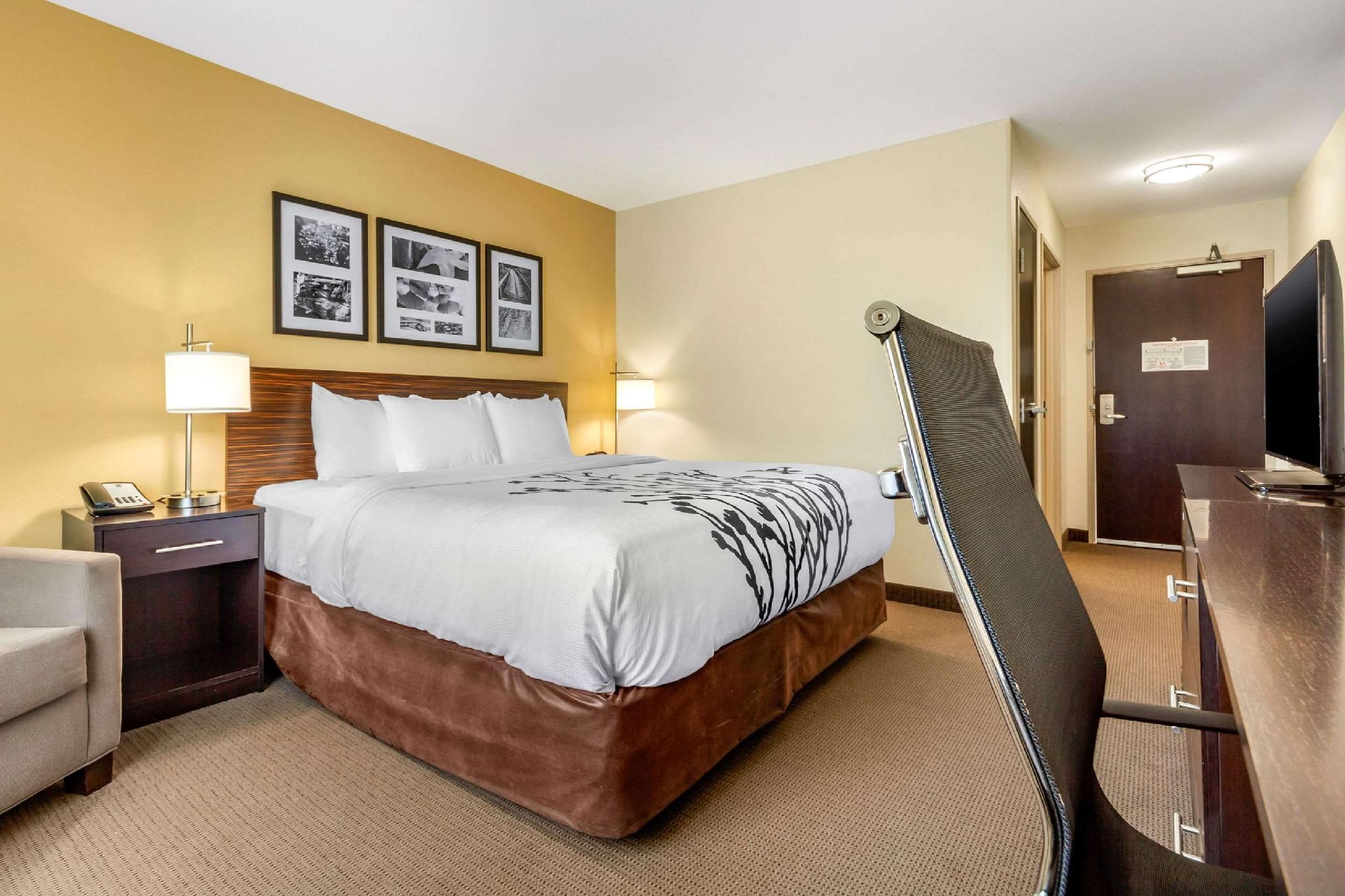 1 King Bed, Nonsmoking