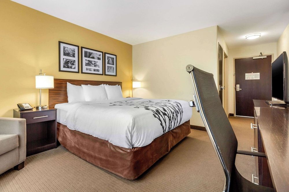 Standard Room, 1 King Bed, Non Smoking