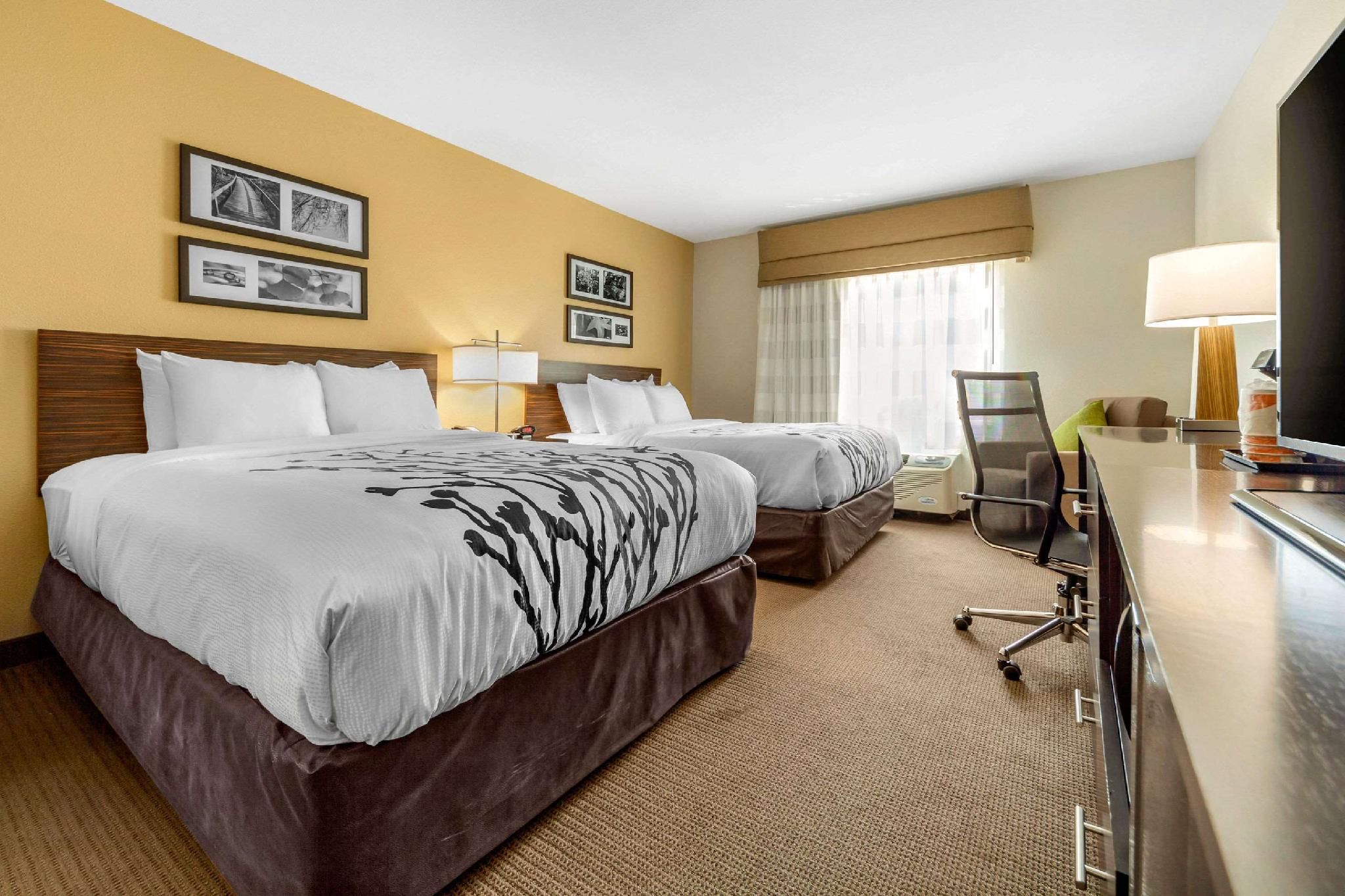 2 Queen Beds, Suite, Nonsmoking