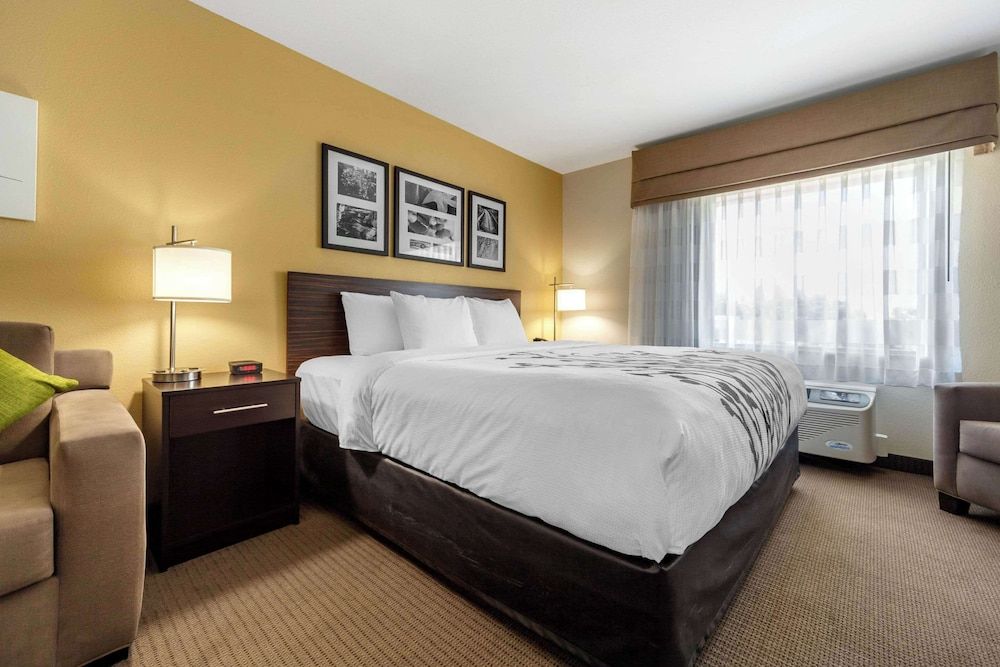 Suite, 1 King Bed with Sofa bed, Non Smoking
