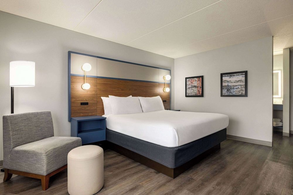 Room, 1 King Bed
