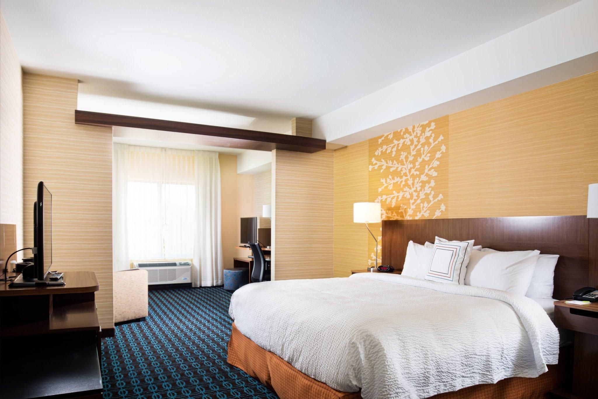Suite, 1 King, Sofa bed
