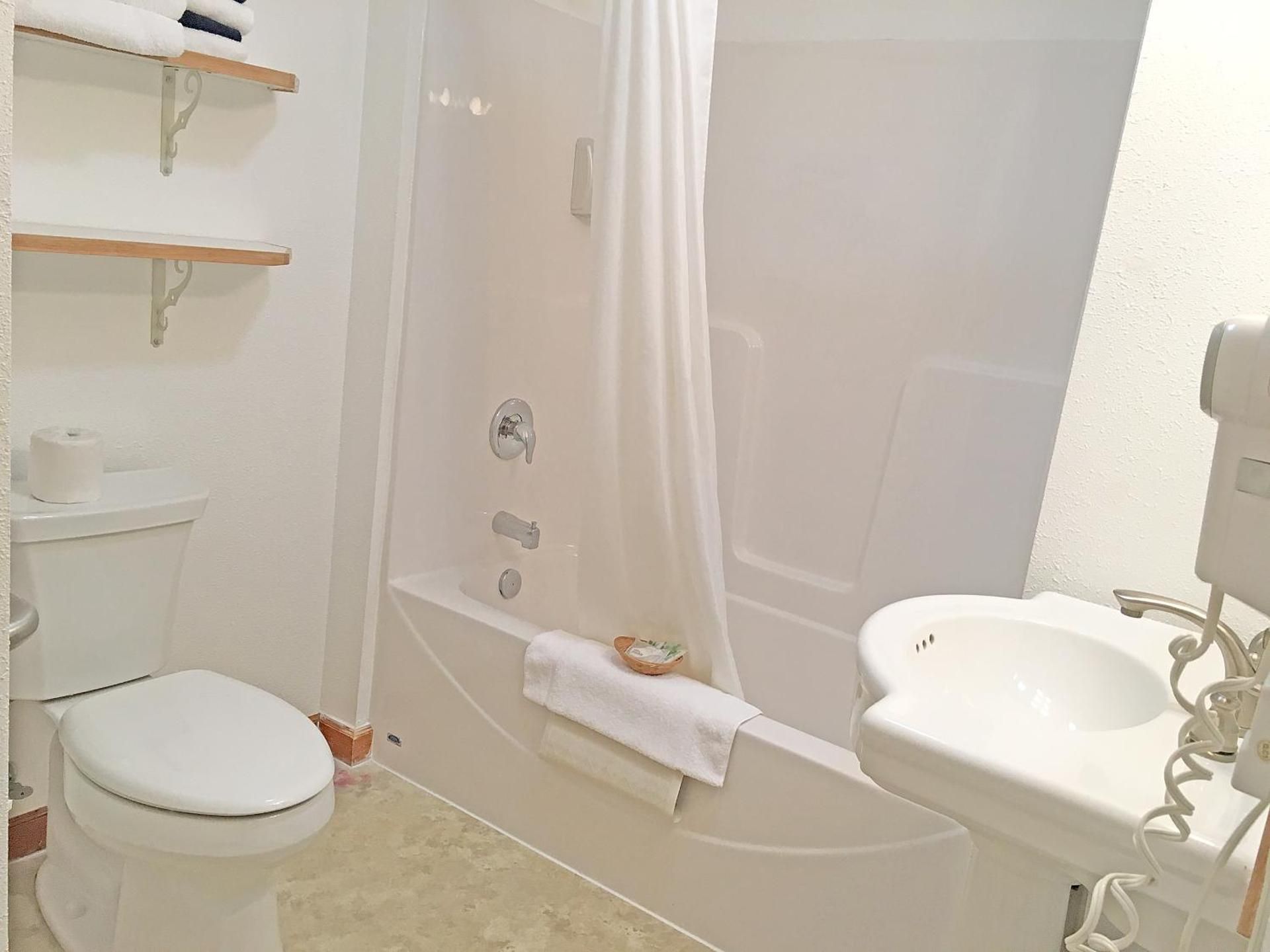 Apartment with One Queen Bed and Kitchenette - Motel